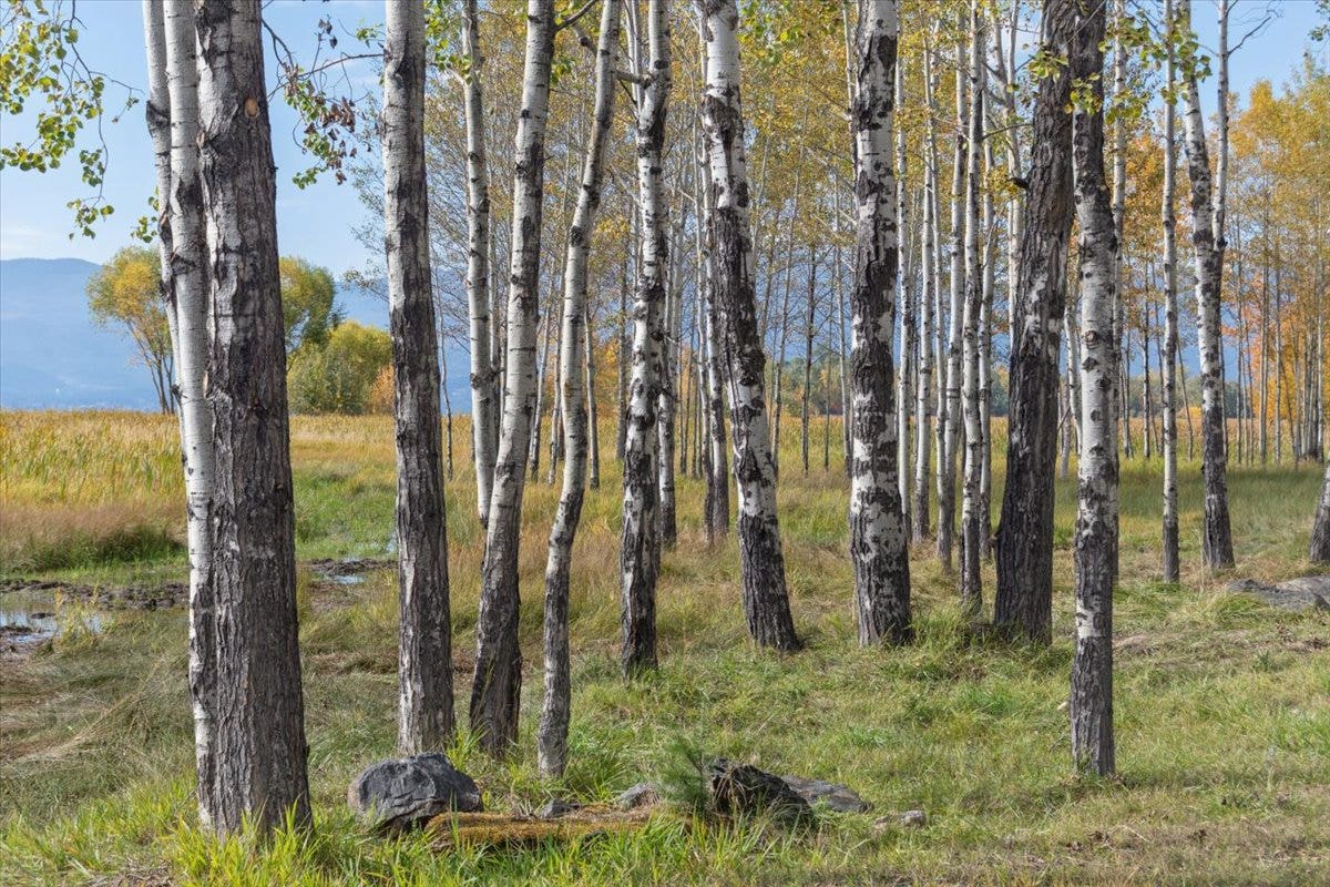 386,414,440 Holt Drive, Bigfork, MT 59911 386,414,440 Holt Drive, Bigfork, MT 59911