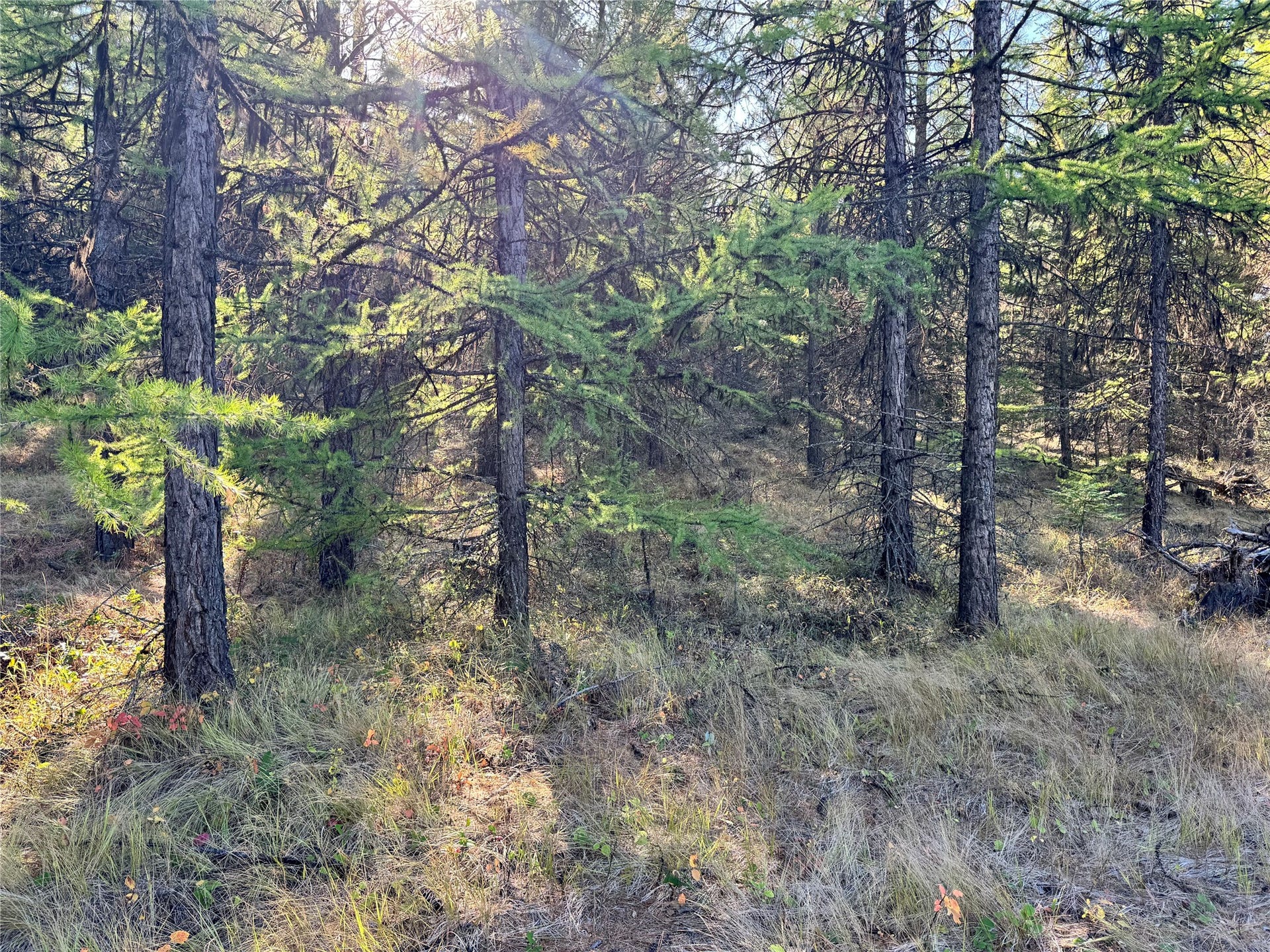 Lot 6 Panoramic View, Libby, MT 59923 Lot 6 Panoramic View, Libby, MT 59923