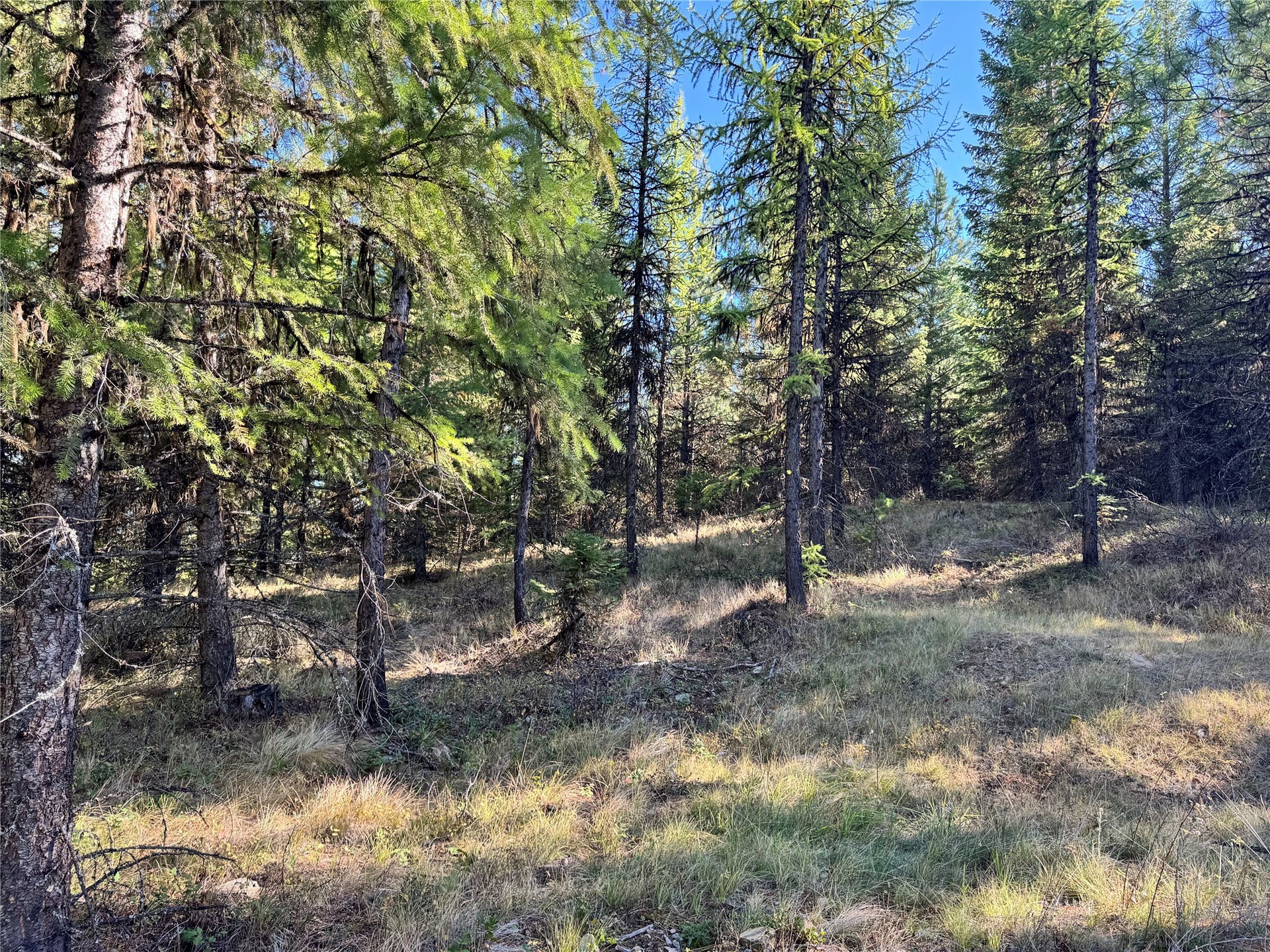 Lot 6 Panoramic View, Libby, MT 59923 Lot 6 Panoramic View, Libby, MT 59923
