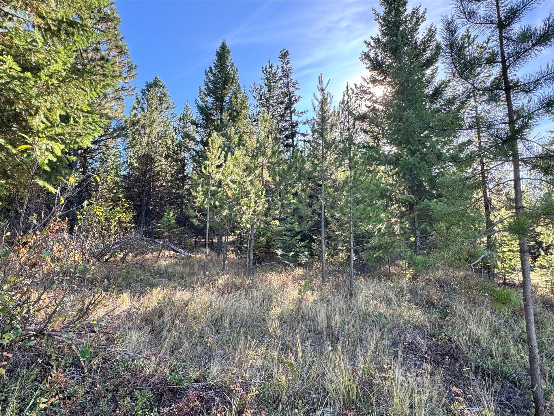 Lot 6 Panoramic View, Libby, MT 59923 Lot 6 Panoramic View, Libby, MT 59923