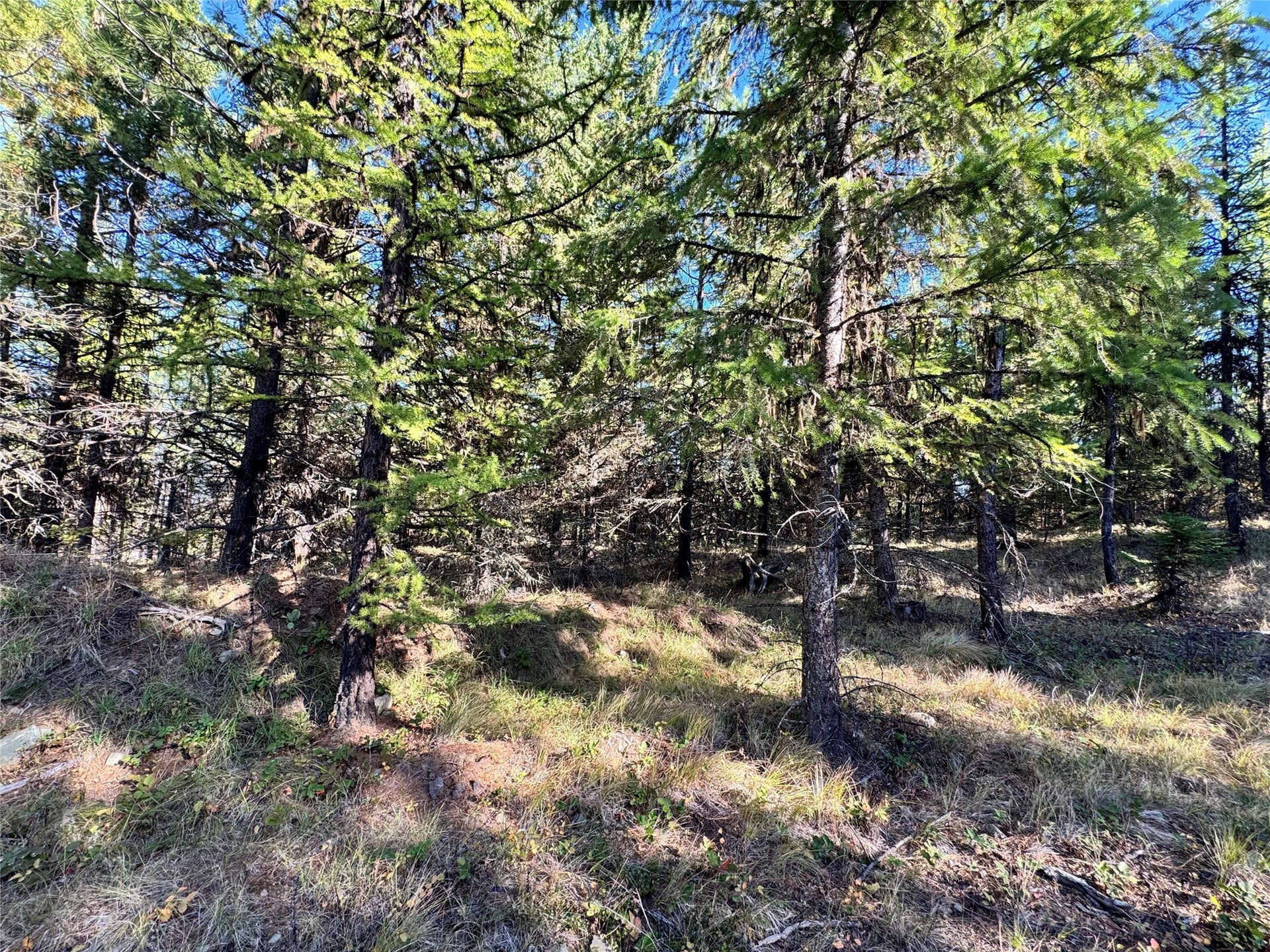 Lot 6 Panoramic View, Libby, MT 59923 Lot 6 Panoramic View, Libby, MT 59923