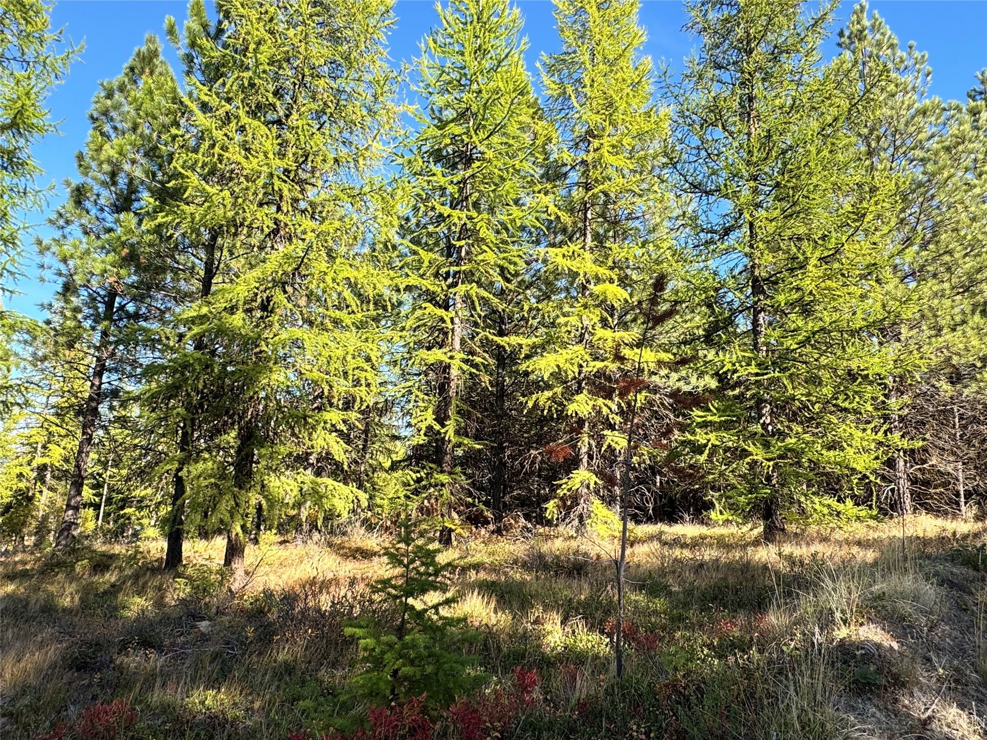 Lot 6 Panoramic View, Libby, MT 59923 Lot 6 Panoramic View, Libby, MT 59923
