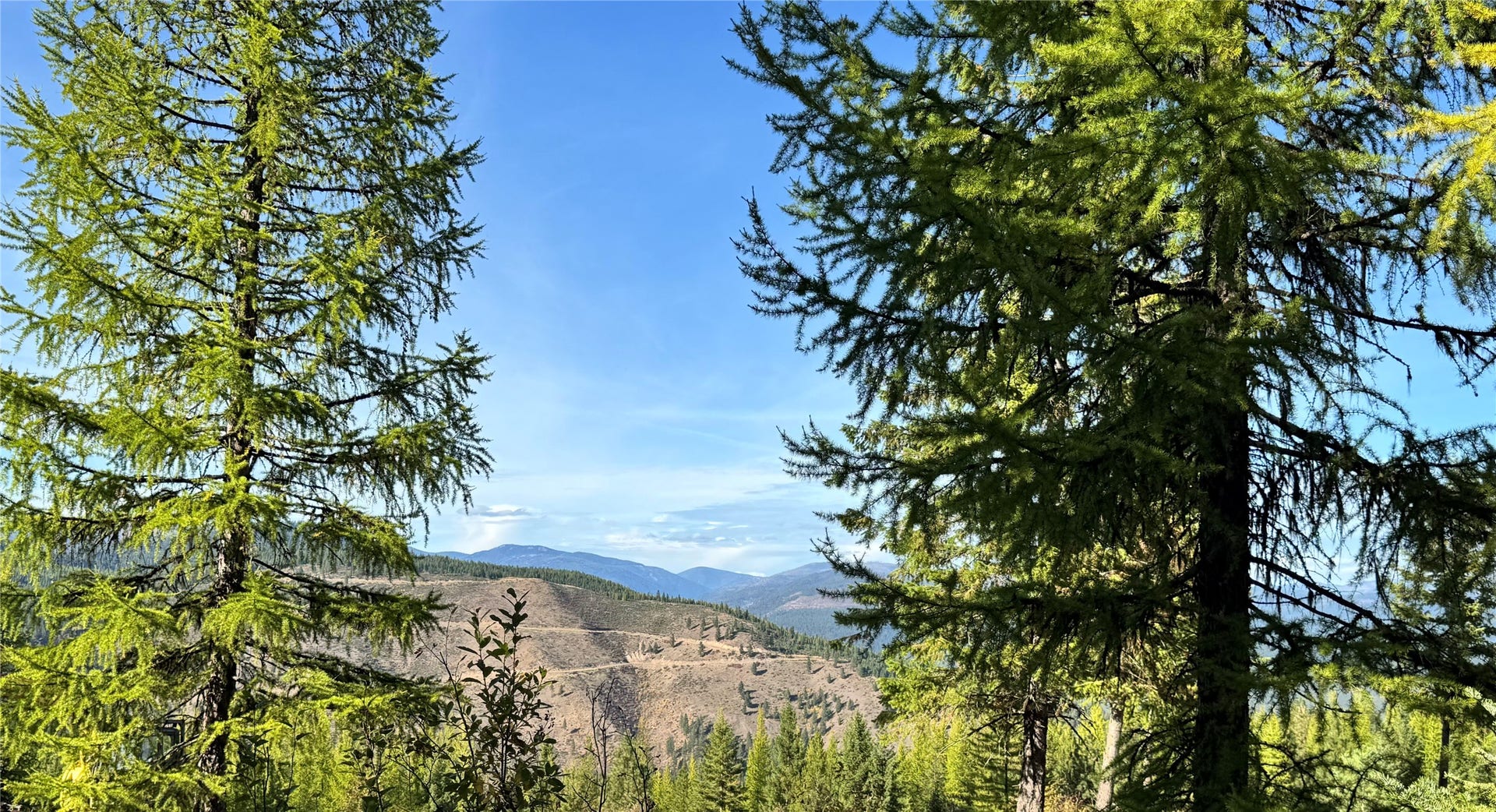 Lot 6 Panoramic View, Libby, MT 59923 Lot 6 Panoramic View, Libby, MT 59923