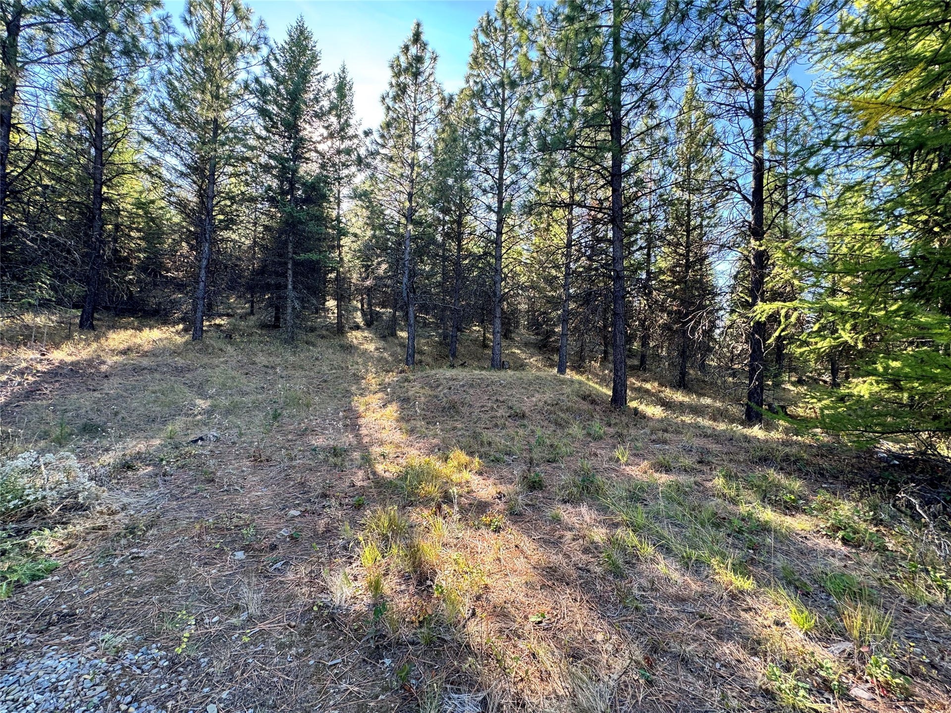 Lot 6 Panoramic View, Libby, MT 59923 Lot 6 Panoramic View, Libby, MT 59923