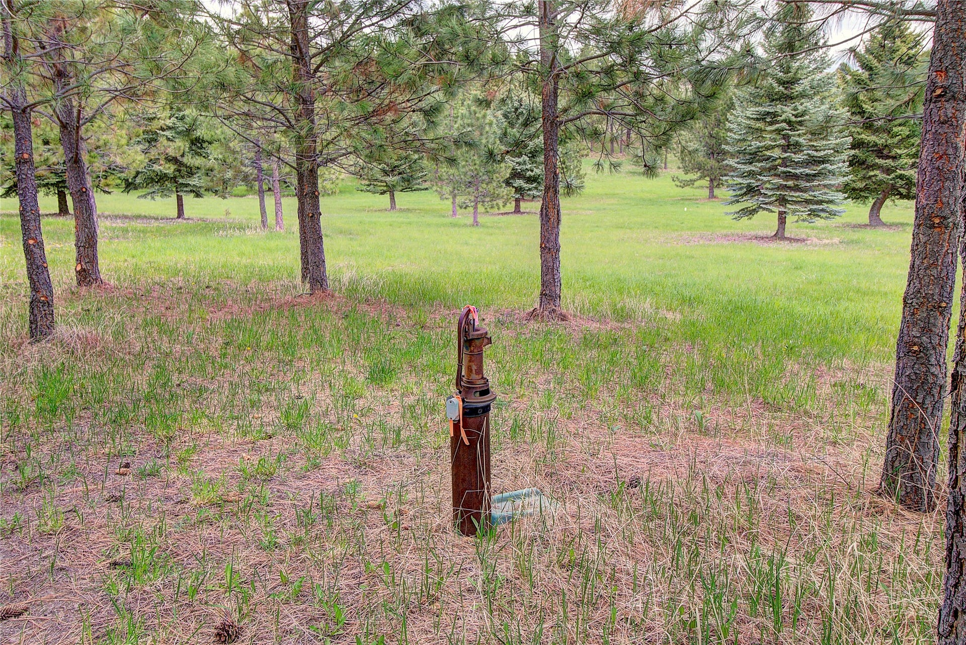 NHN Blue Spruce Drive, Polson, MT 59860