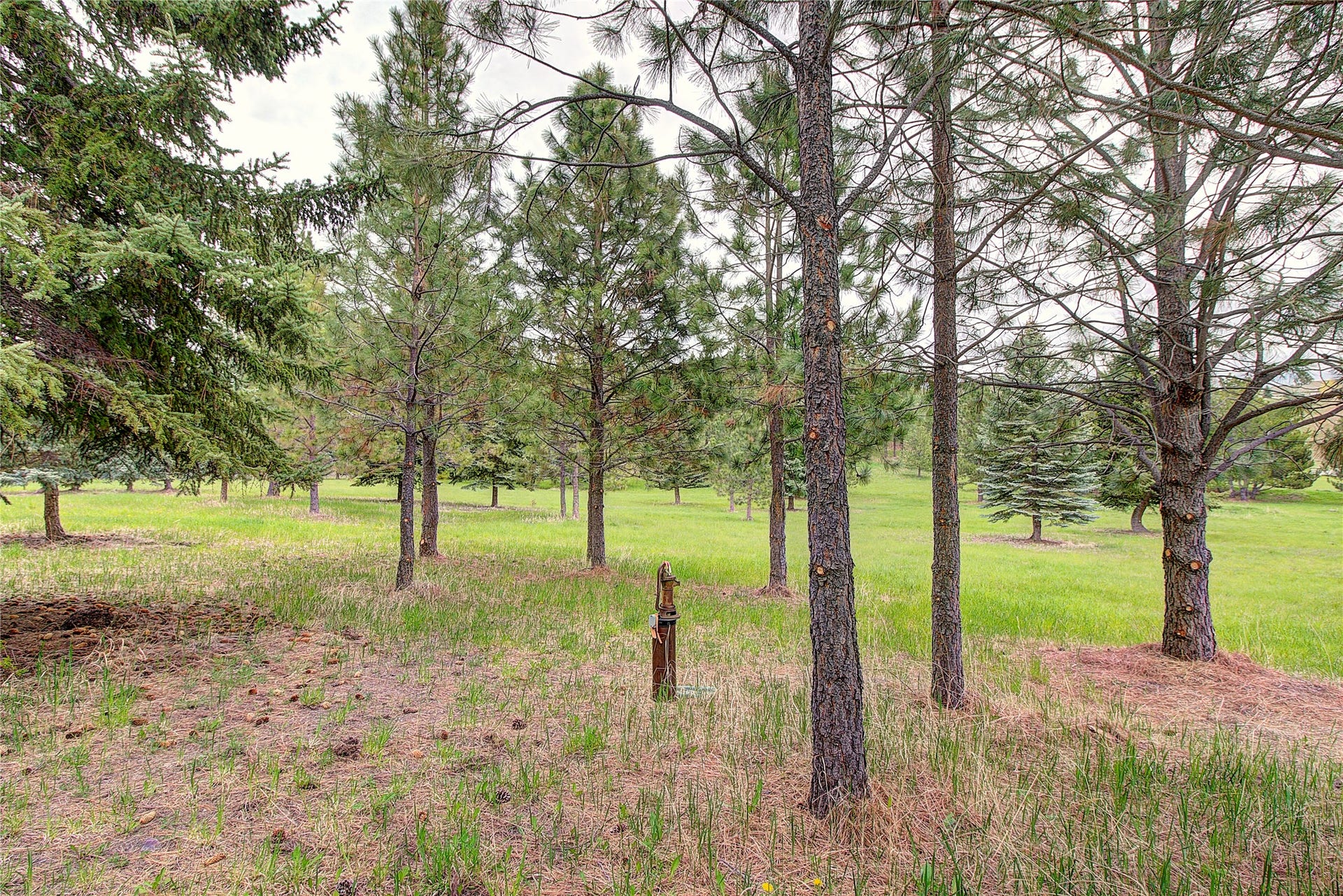NHN Blue Spruce Drive, Polson, MT 59860