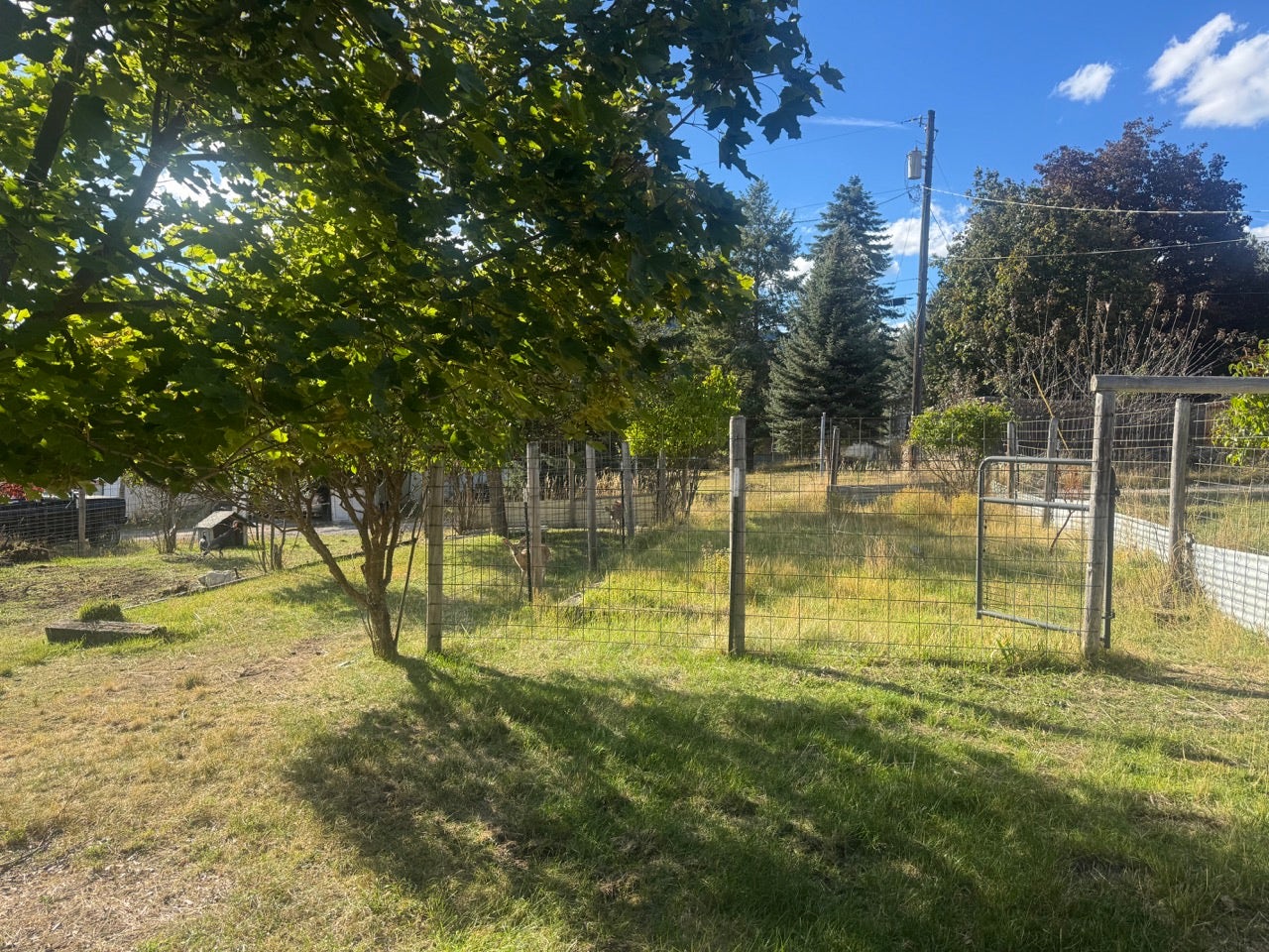 413 Washington Street, Thompson Falls, MT 59873