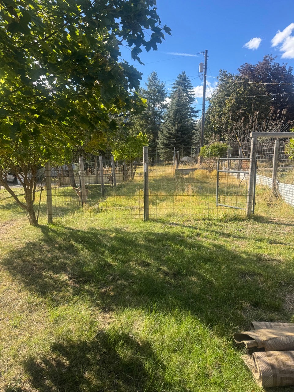 413 Washington Street, Thompson Falls, MT 59873