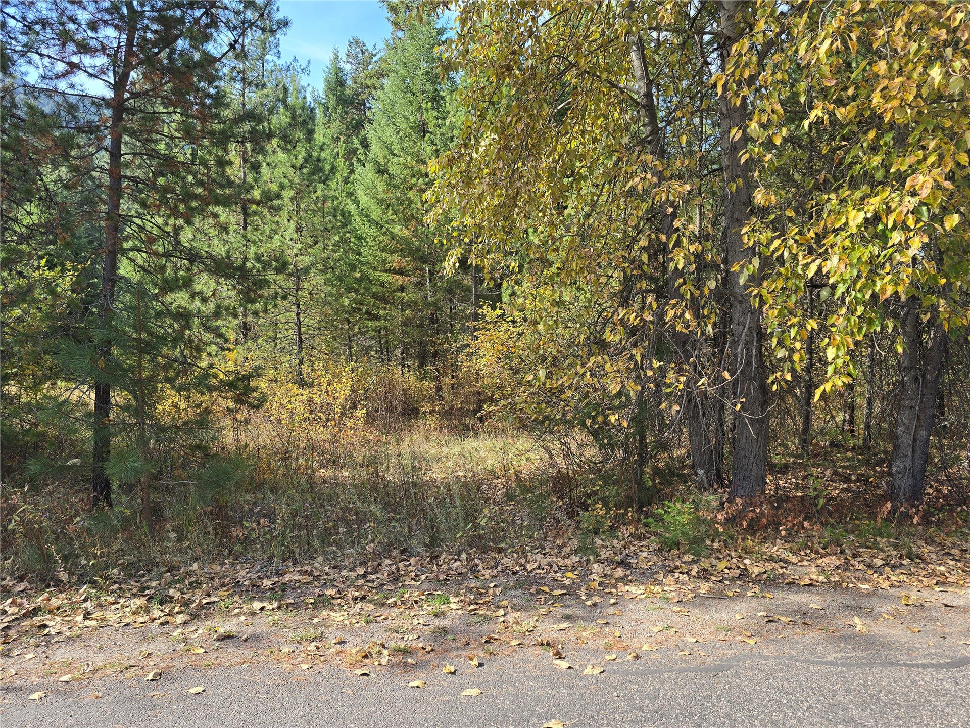 NHN Trestle Creek Drive, St Regis, MT 59866 NHN Trestle Creek Drive, St Regis, MT 59866
