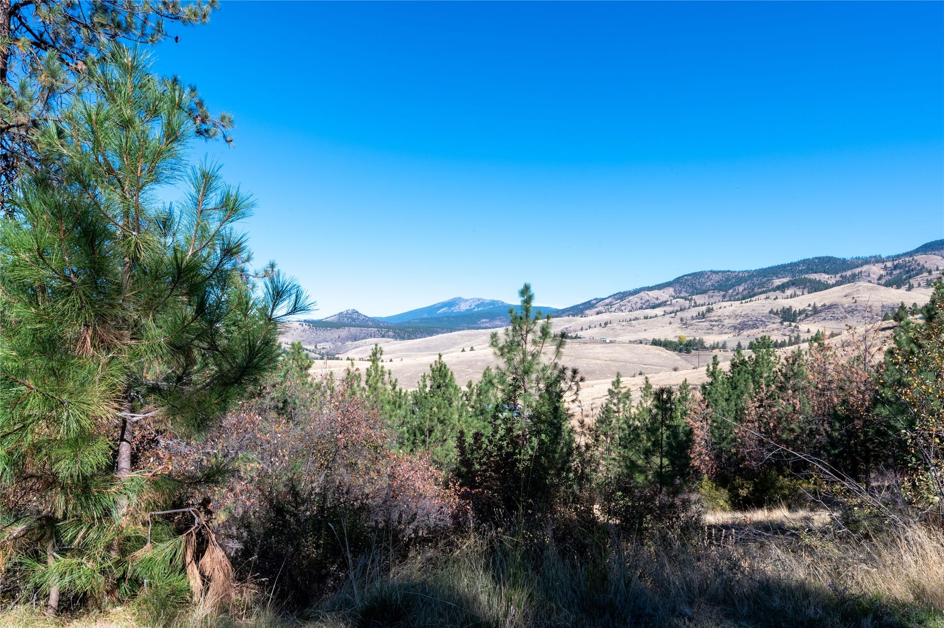 46 Deemer Ridge Road, Plains, MT 59859 46 Deemer Ridge Road, Plains, MT 59859