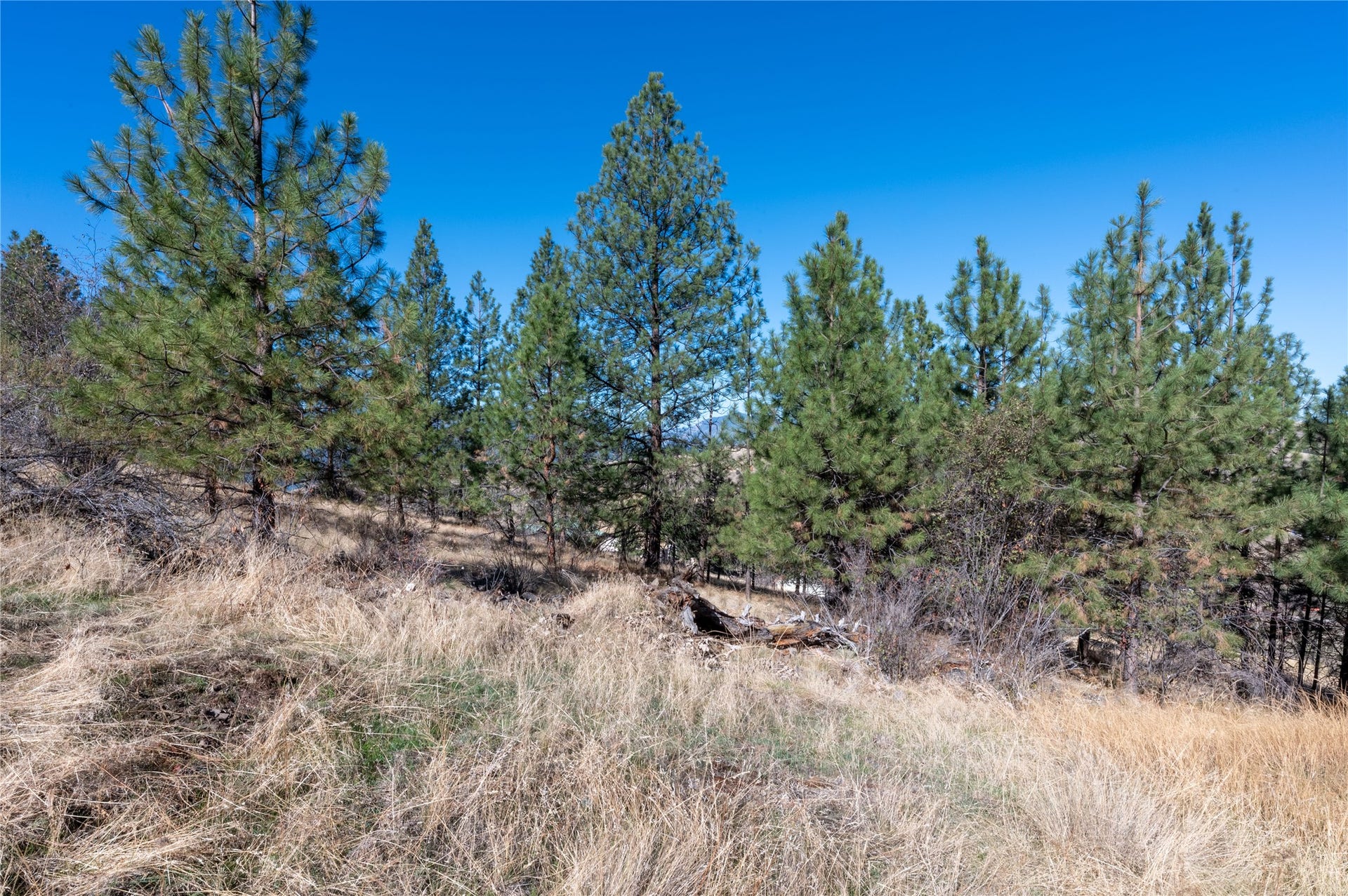 46 Deemer Ridge Road, Plains, MT 59859 46 Deemer Ridge Road, Plains, MT 59859