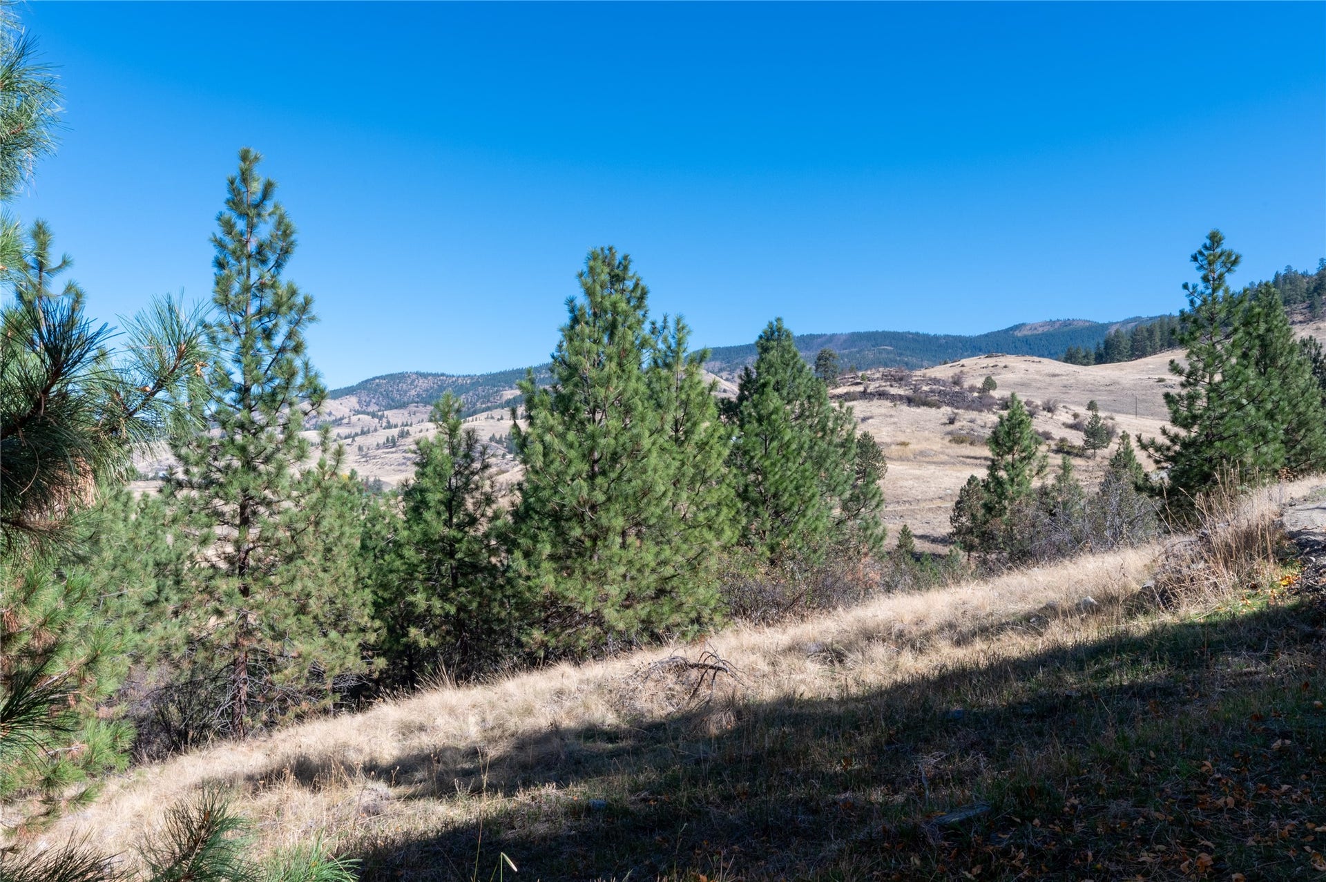46 Deemer Ridge Road, Plains, MT 59859 46 Deemer Ridge Road, Plains, MT 59859