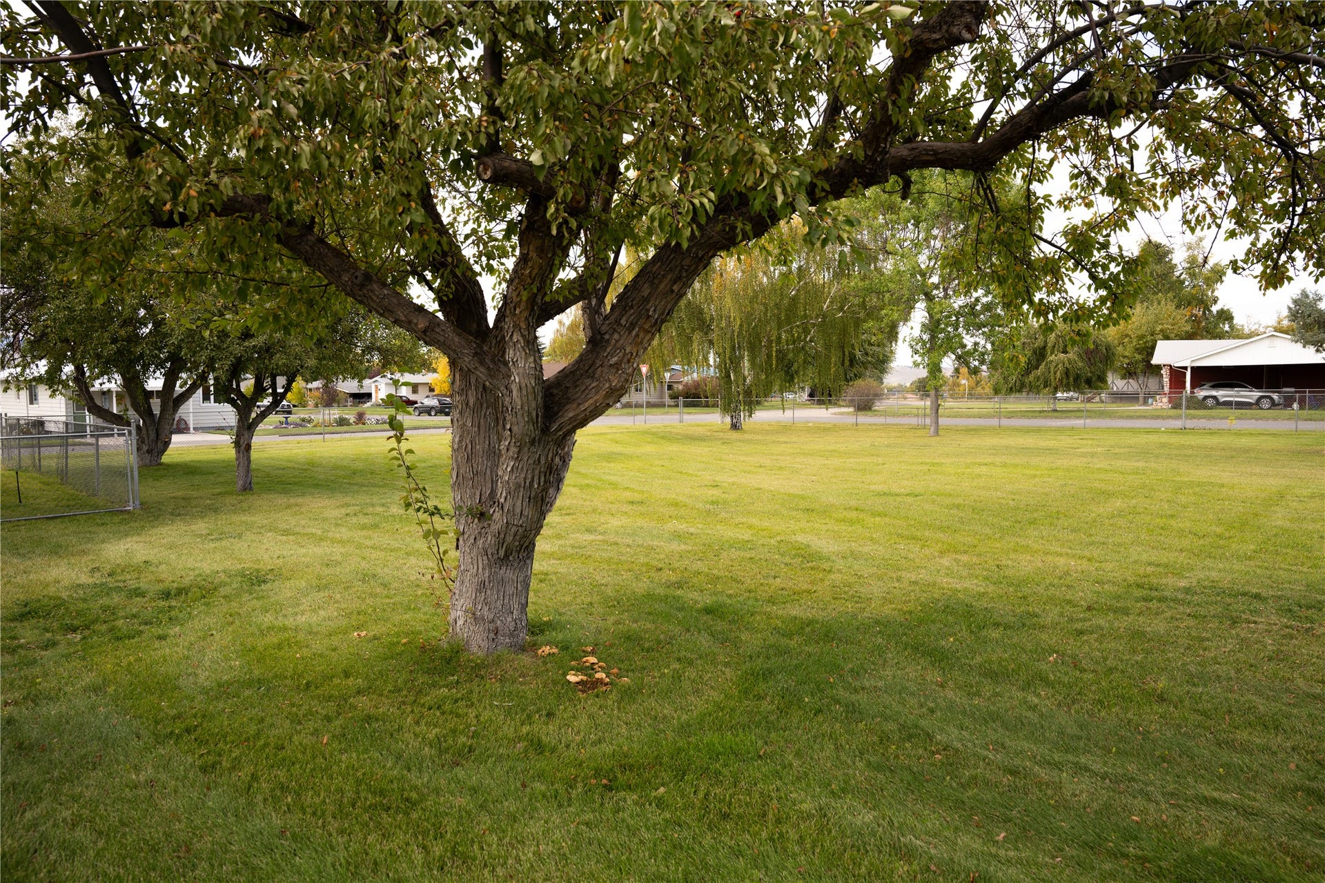 709 Kohrs Street, Deer Lodge, MT 59722 709 Kohrs Street, Deer Lodge, MT 59722