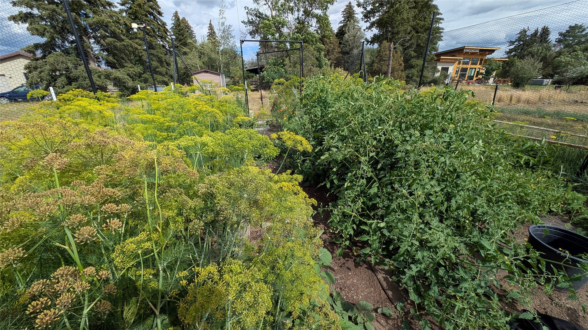 5260 Kerr Drive, Helena, MT 59602