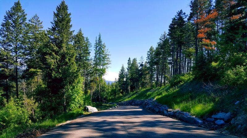 32720 Pine Meadow Drive, Bigfork, MT 59911 32720 Pine Meadow Drive, Bigfork, MT 59911