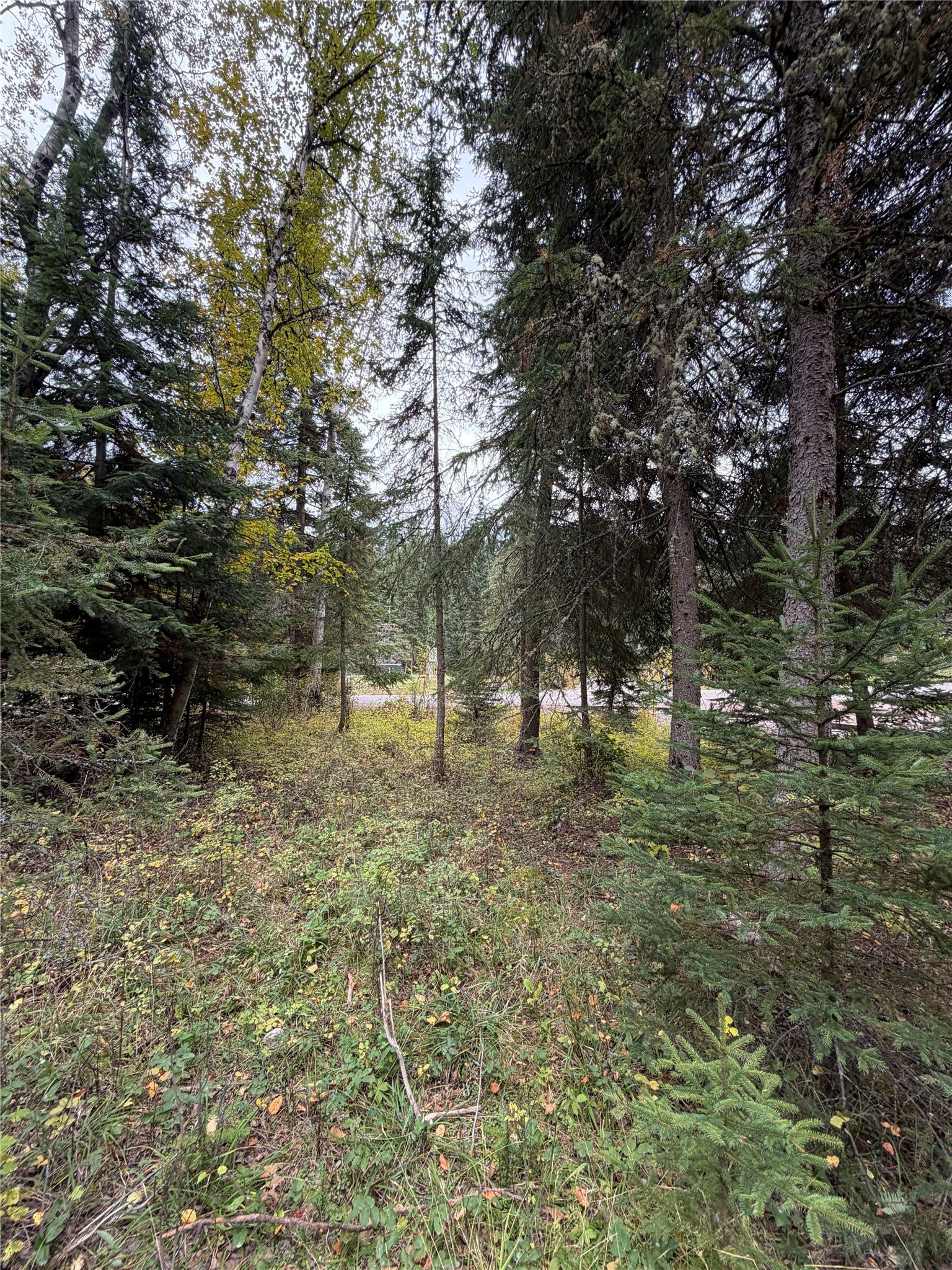 32631 Pine Meadow Drive, Bigfork, MT 59911 32631 Pine Meadow Drive, Bigfork, MT 59911