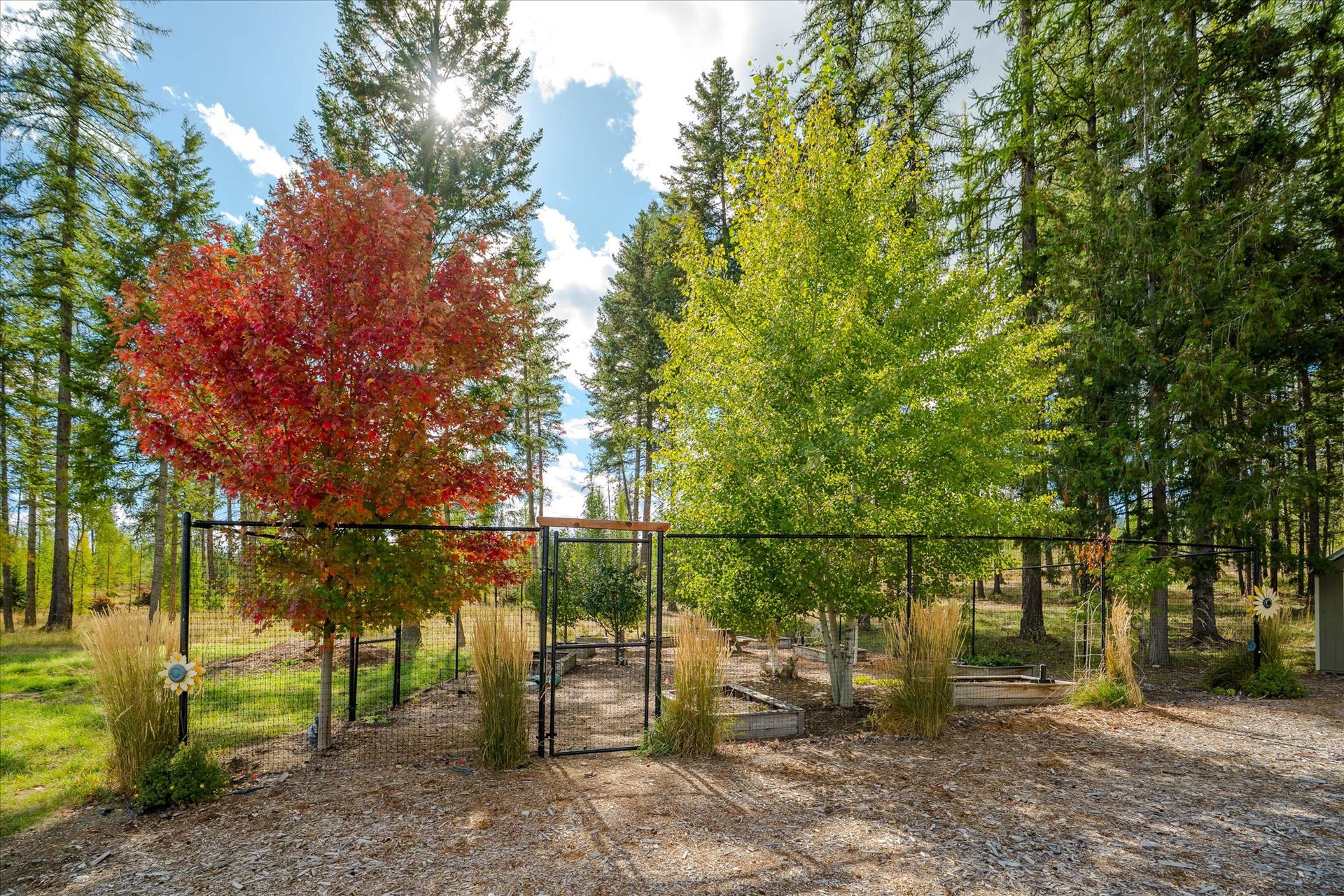 842 Taylor Road, Libby, MT 59923 842 Taylor Road, Libby, MT 59923