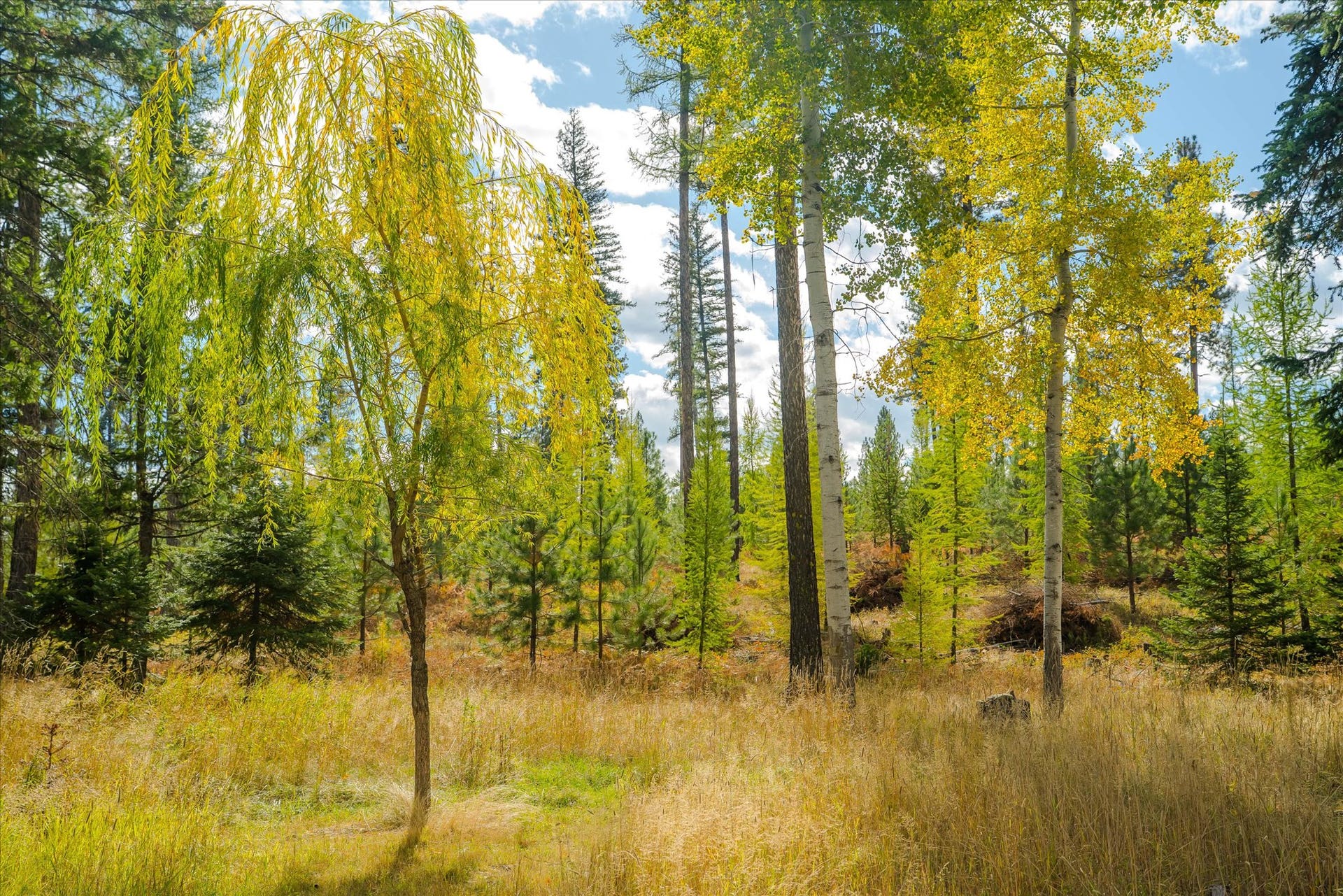 842 Taylor Road, Libby, MT 59923 842 Taylor Road, Libby, MT 59923