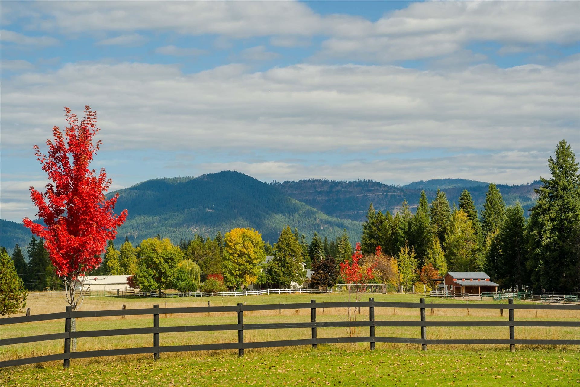 842 Taylor Road, Libby, MT 59923 842 Taylor Road, Libby, MT 59923