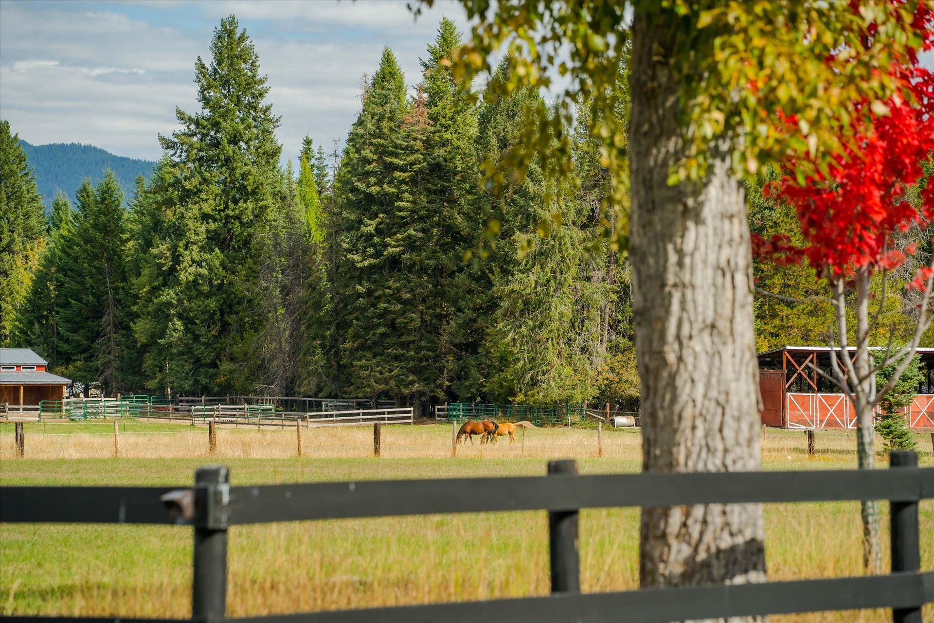 842 Taylor Road, Libby, MT 59923 842 Taylor Road, Libby, MT 59923