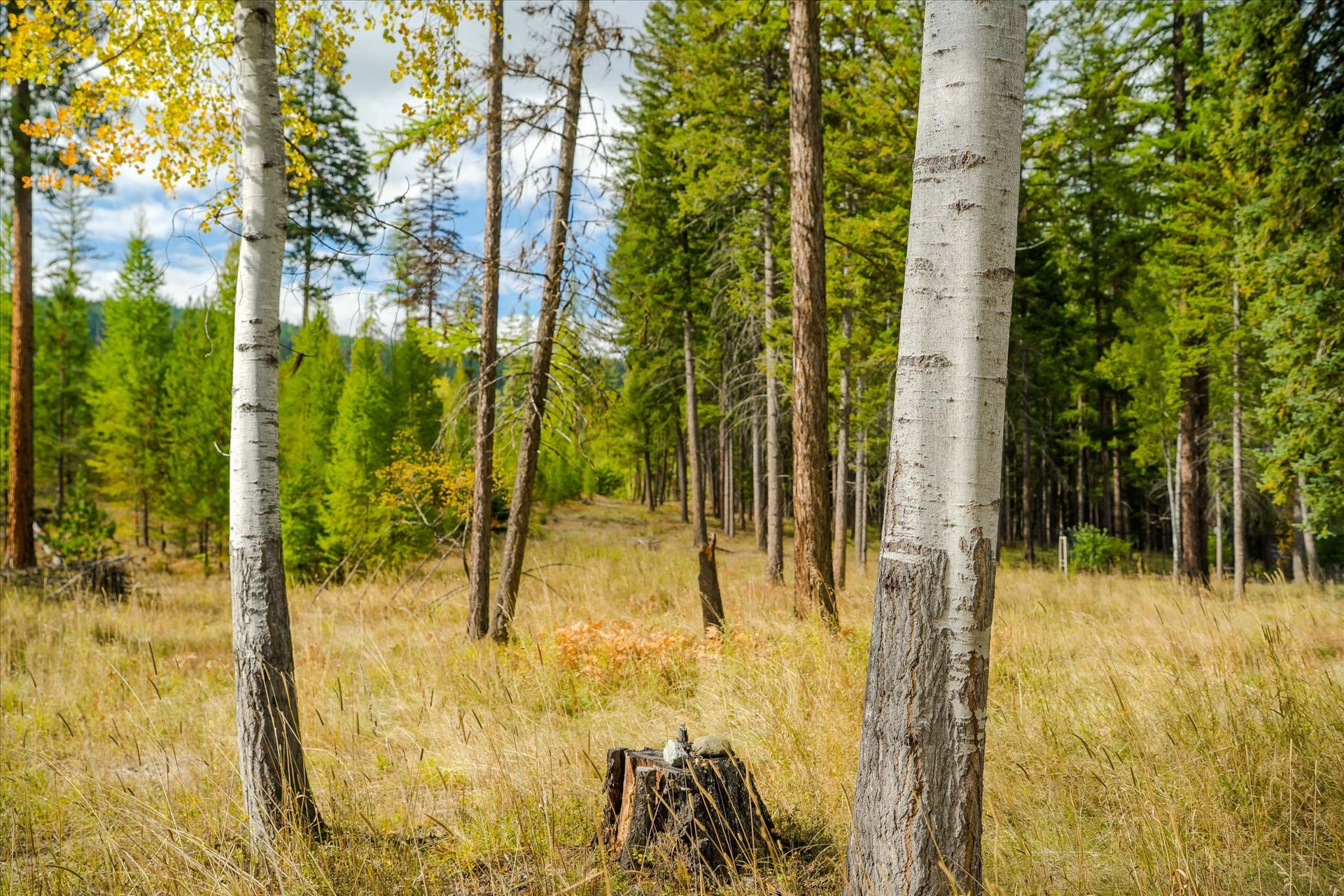842 Taylor Road, Libby, MT 59923 842 Taylor Road, Libby, MT 59923