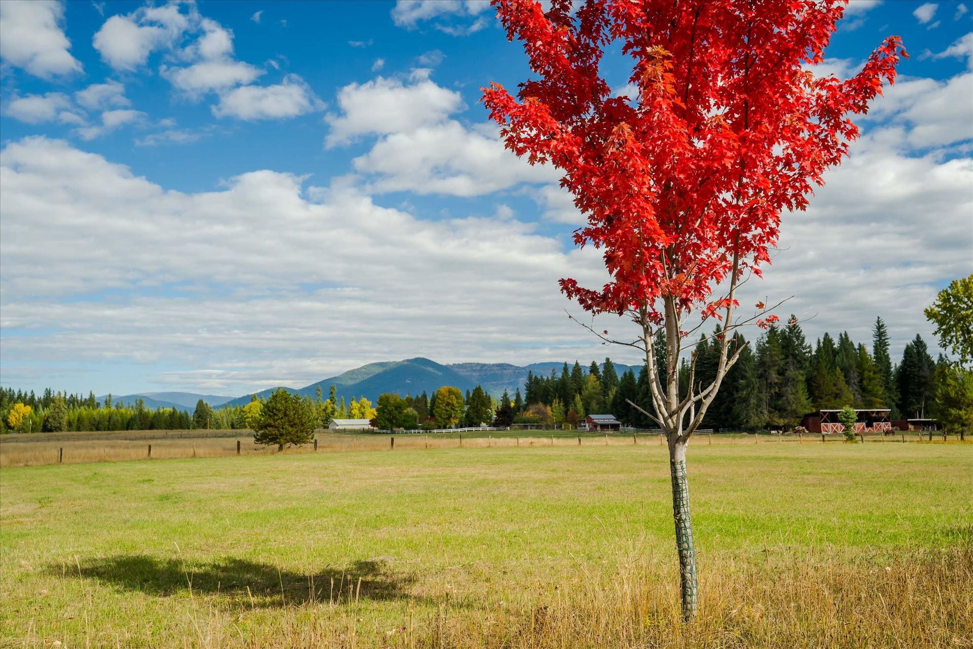 842 Taylor Road, Libby, MT 59923 842 Taylor Road, Libby, MT 59923