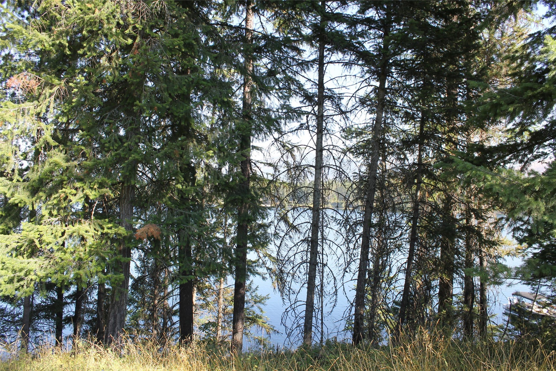 33 S Shore Drive, Trout Creek, MT 59874