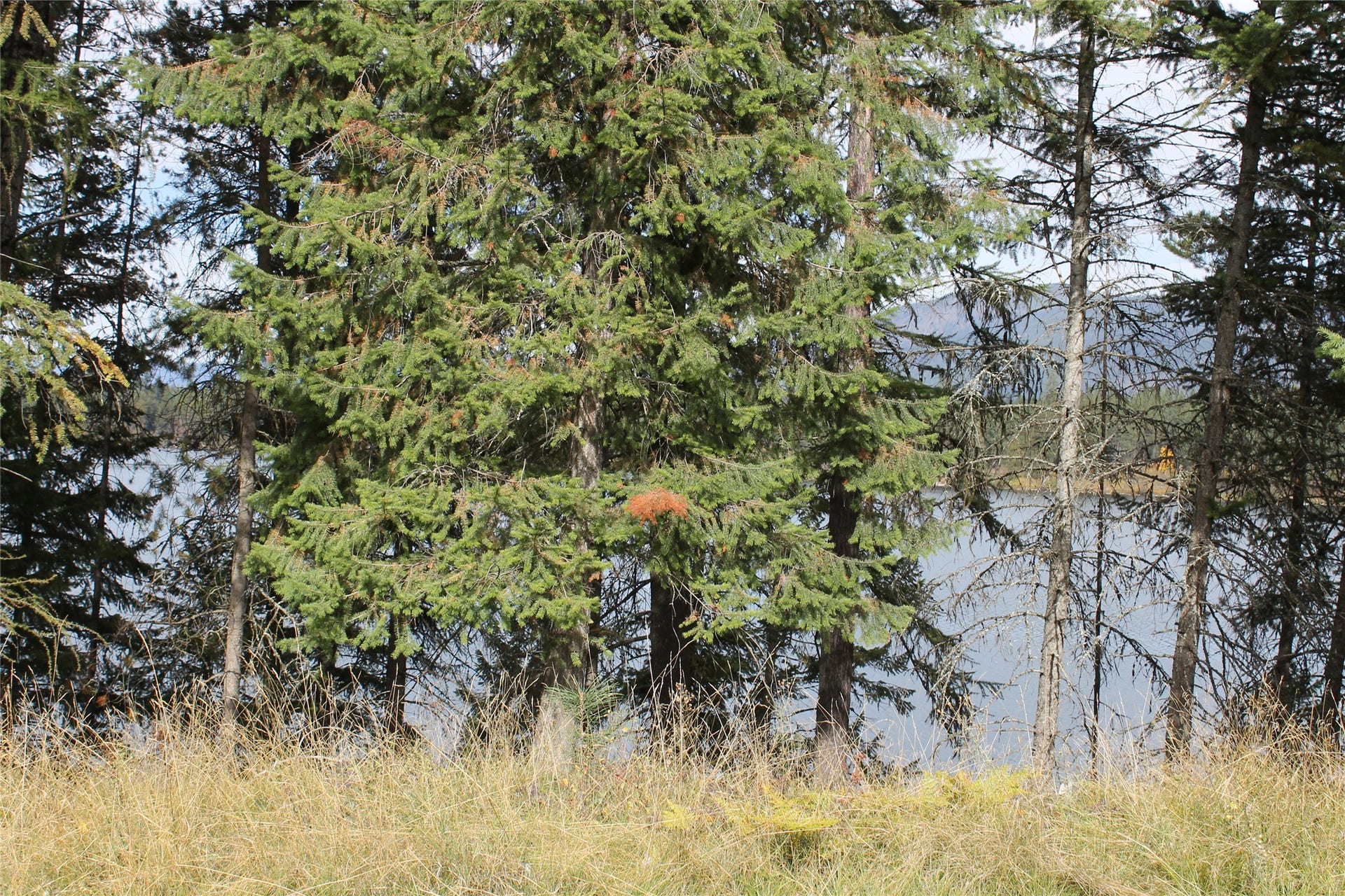33 S Shore Drive, Trout Creek, MT 59874
