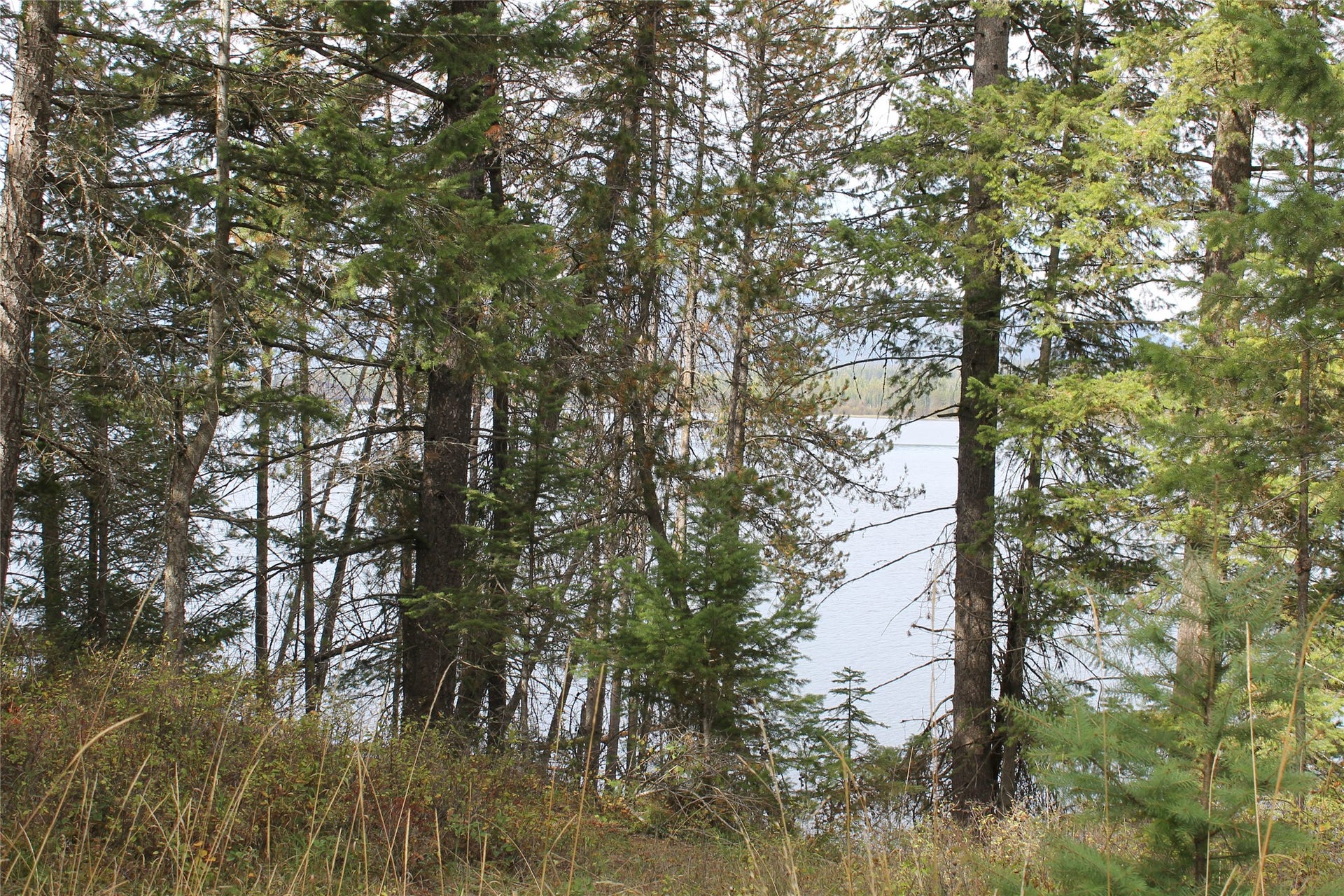 33 S Shore Drive, Trout Creek, MT 59874