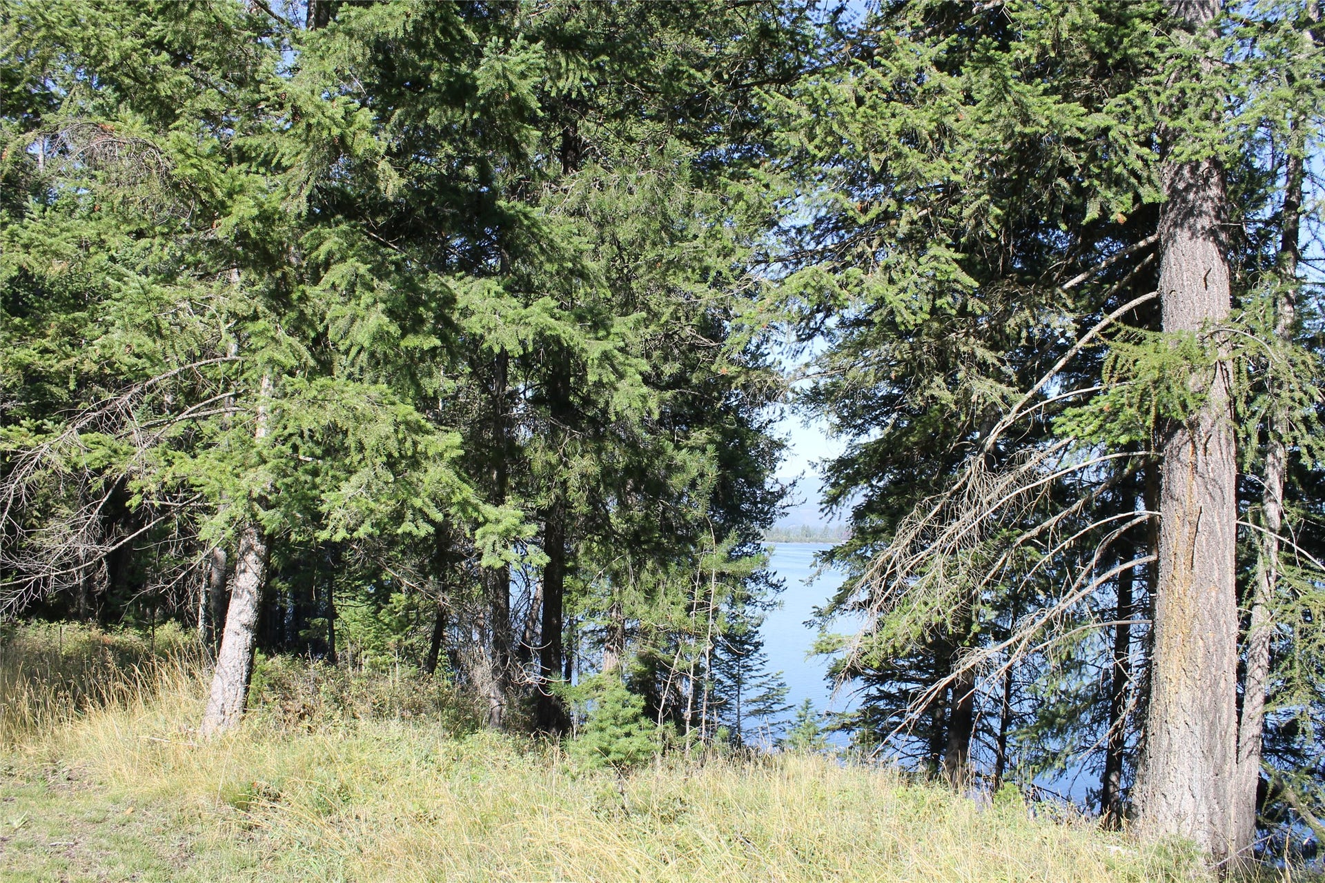33 S Shore Drive, Trout Creek, MT 59874