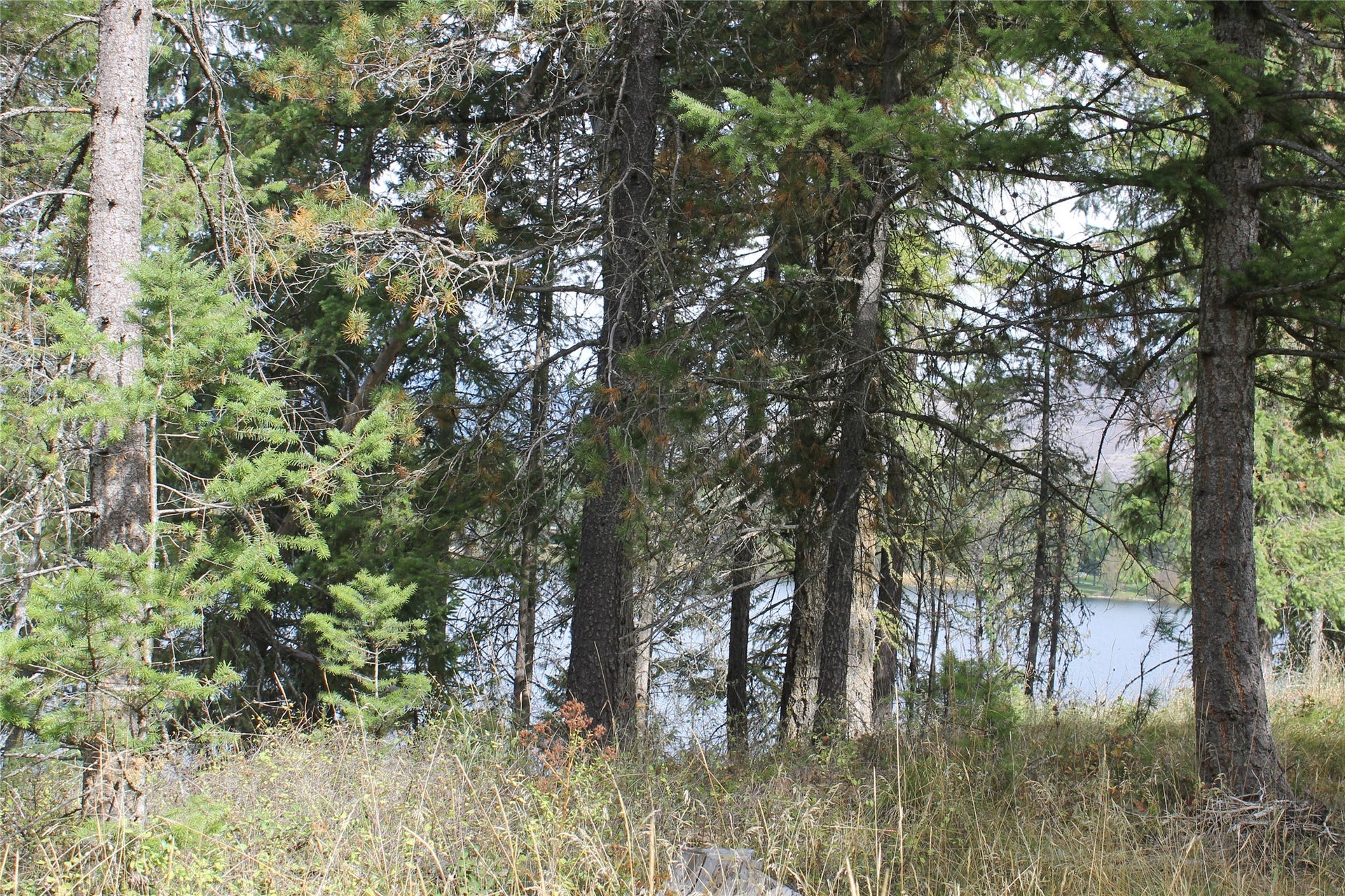 33 S Shore Drive, Trout Creek, MT 59874