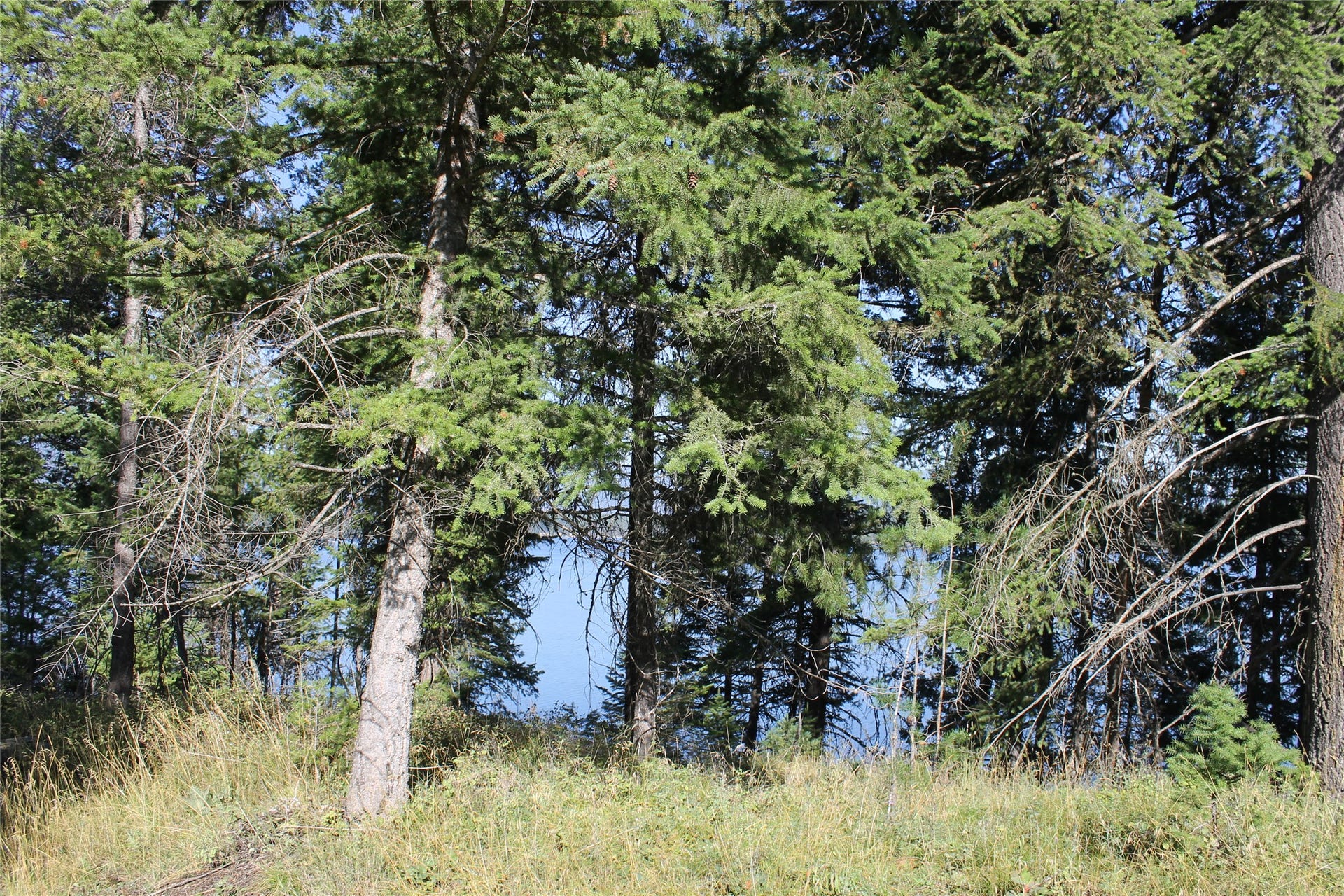 33 S Shore Drive, Trout Creek, MT 59874