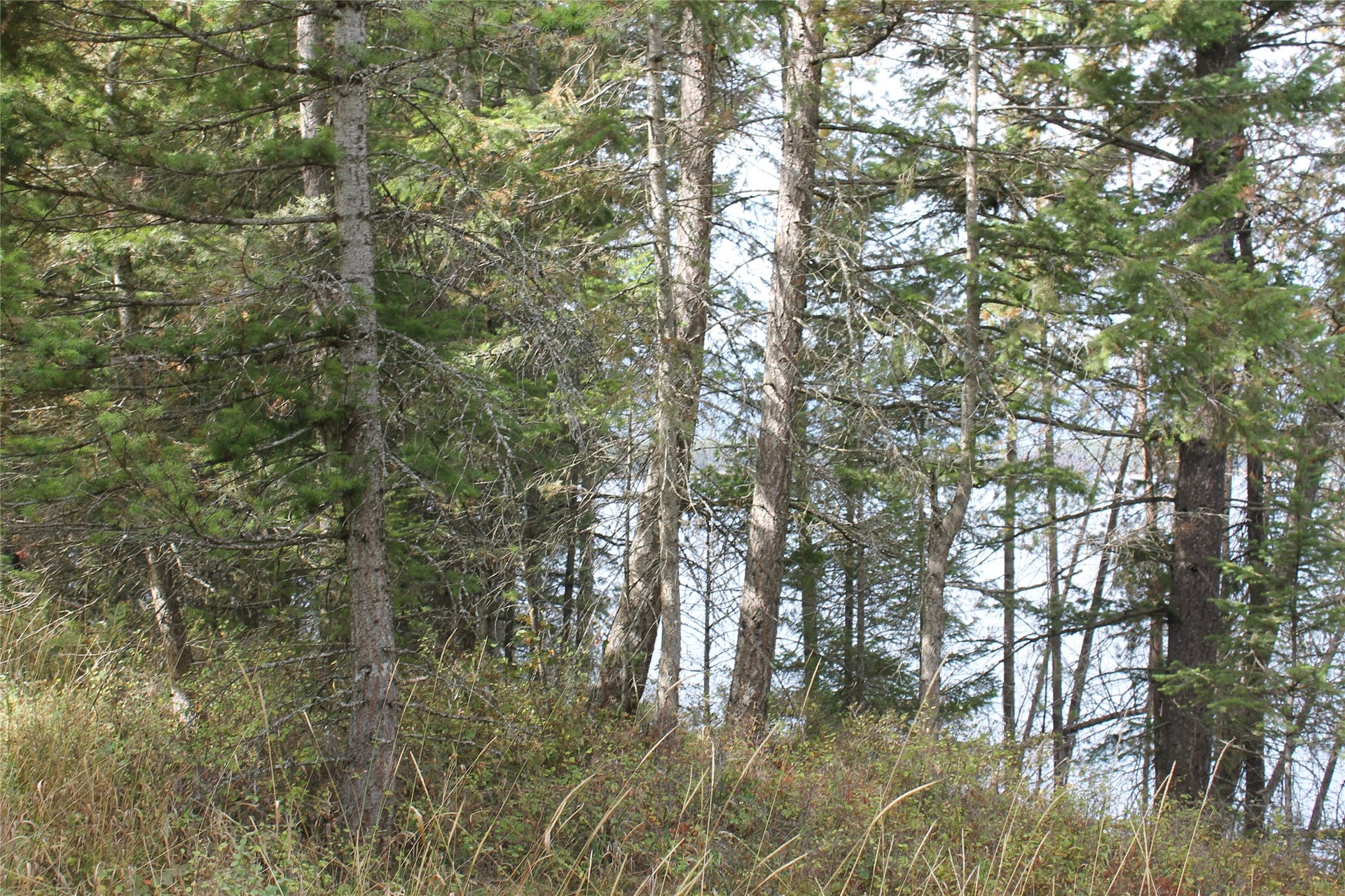 33 S Shore Drive, Trout Creek, MT 59874