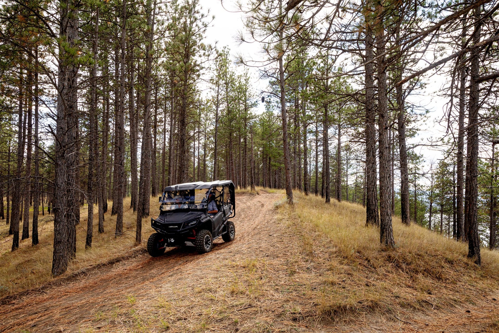 946 Wilderness Club Drive, Eureka, MT 59917