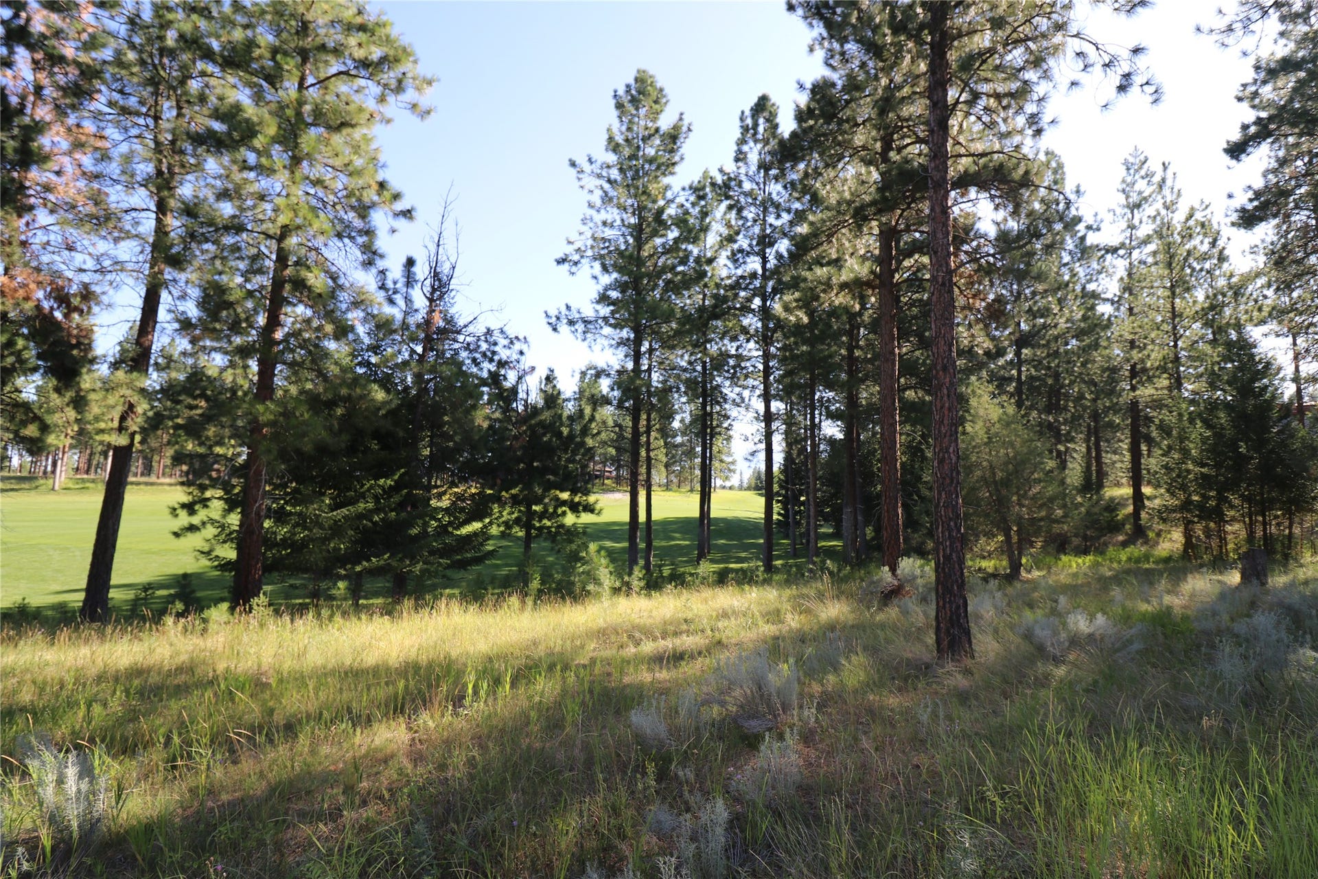 946 Wilderness Club Drive, Eureka, MT 59917