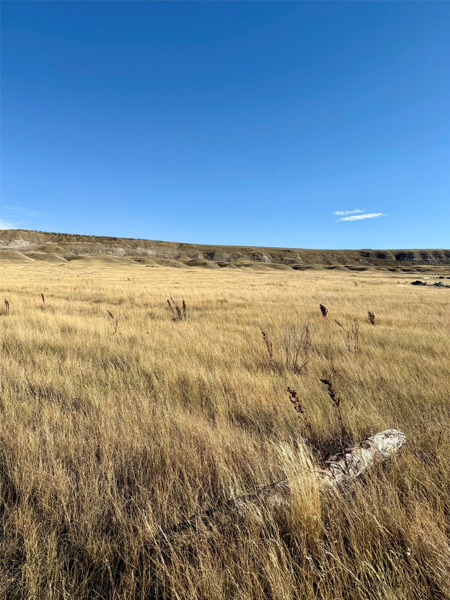 nhn Judson Lane, #nhn, Great Falls, MT 59404 looking towards bluff