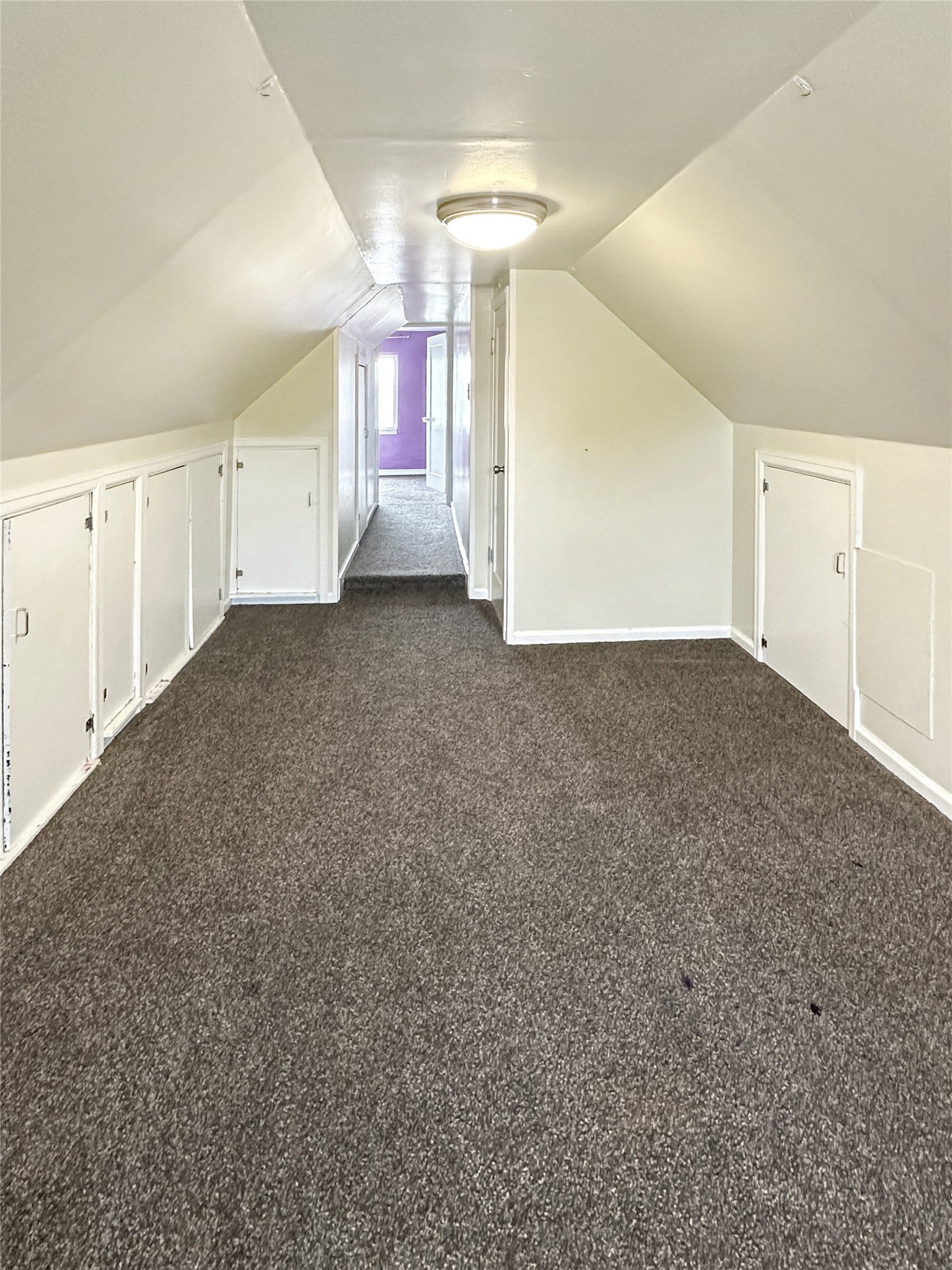 1123 2nd Street N, Shelby, MT 59474 Sloped ceilings with a flush mount ceiling light, grey carpeting, and built-in storage cabinets