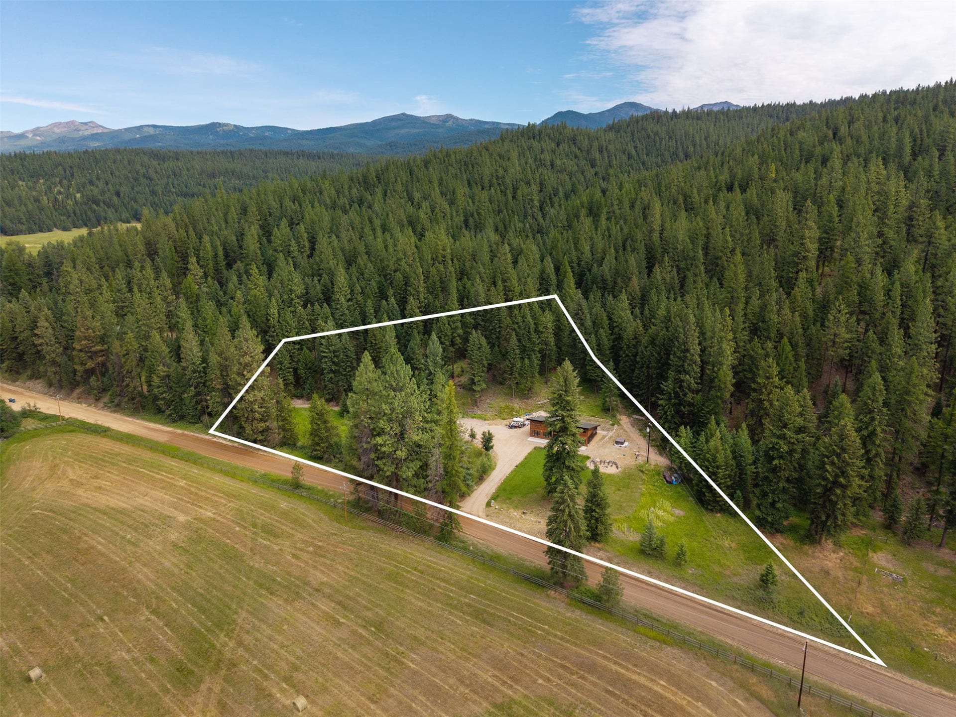 Expansive acreage featuring mature evergreen trees, a gravel driveway, and a single-story dwelling