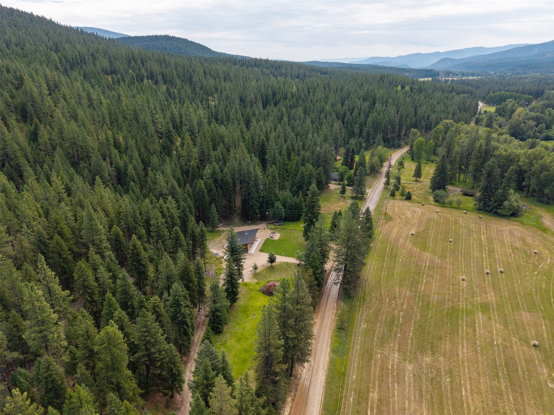 Expansive natural surroundings featuring dense forest, open fields, and mountain terrain