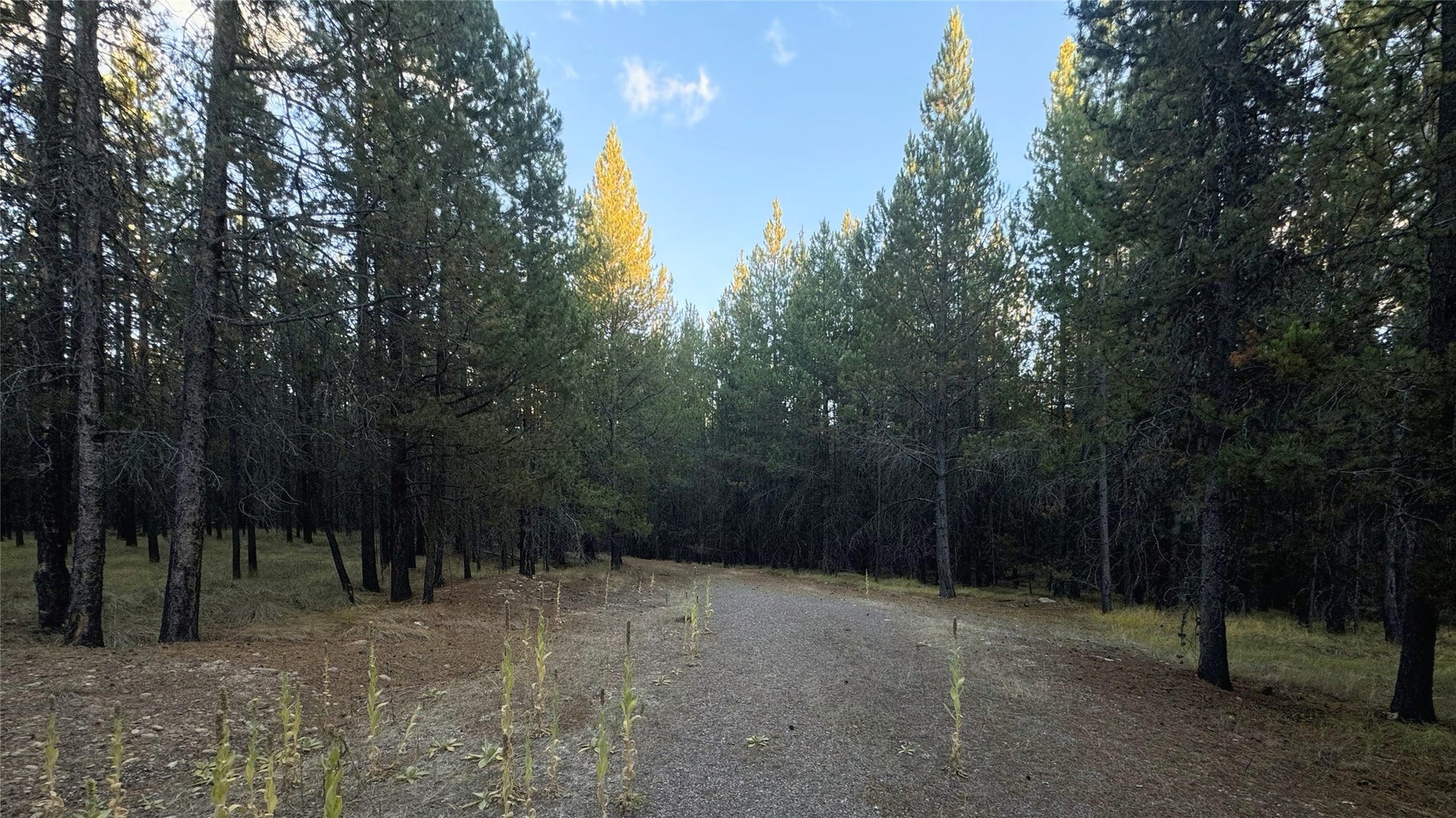 132 Lindbergh Drive, Marion, MT 59925