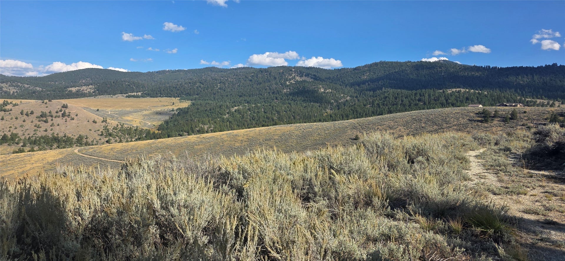 Lot 22 Blue Sage Trail, Corvallis, MT 59828
