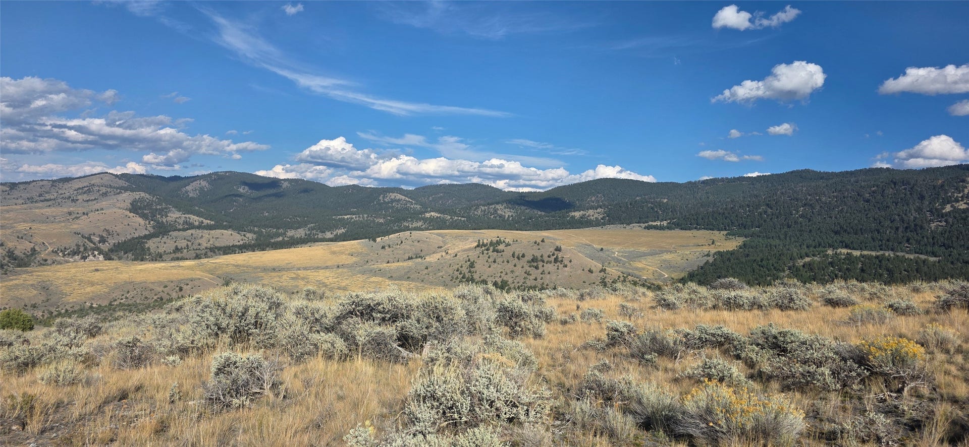 Lot 22 Blue Sage Trail, Corvallis, MT 59828
