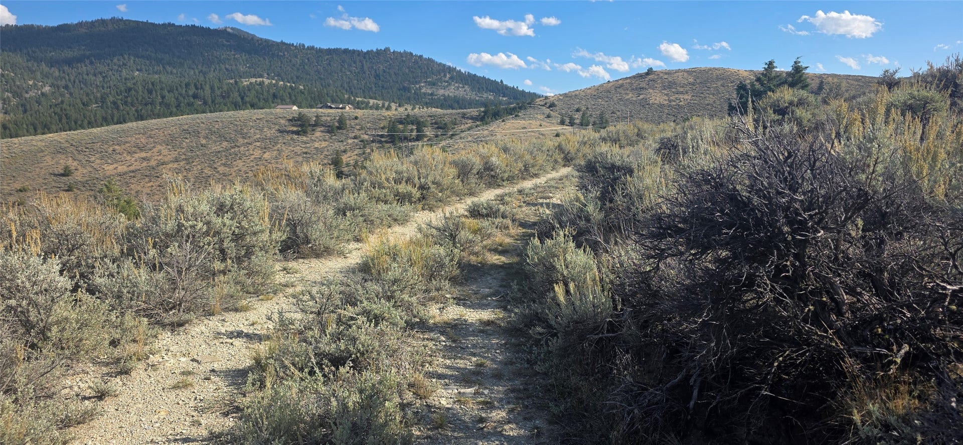 Lot 22 Blue Sage Trail, Corvallis, MT 59828