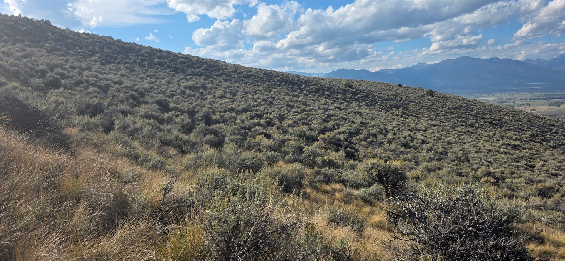Lot 22 Blue Sage Trail, Corvallis, MT 59828