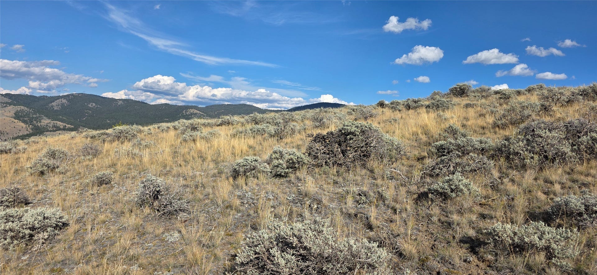 Lot 22 Blue Sage Trail, Corvallis, MT 59828