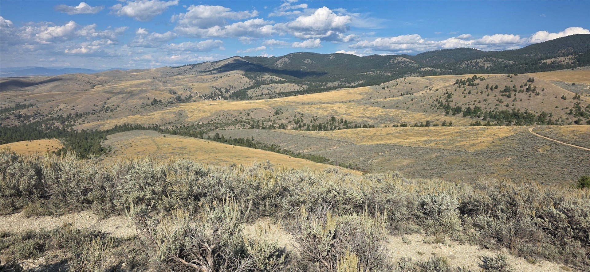Lot 22 Blue Sage Trail, Corvallis, MT 59828