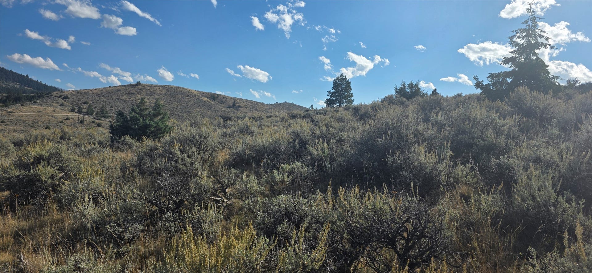 Lot 22 Blue Sage Trail, Corvallis, MT 59828