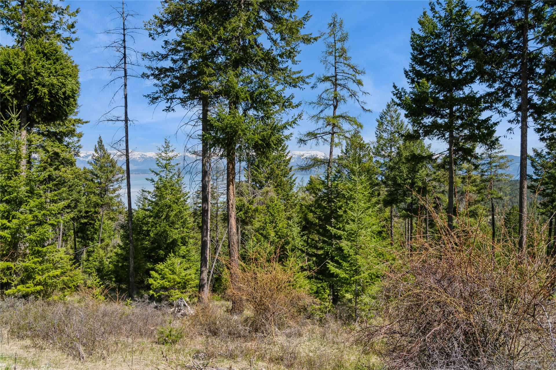 1027 Trappers Creek, Lakeside, MT 59922 1027 Trappers Creek, Lakeside, MT 59922