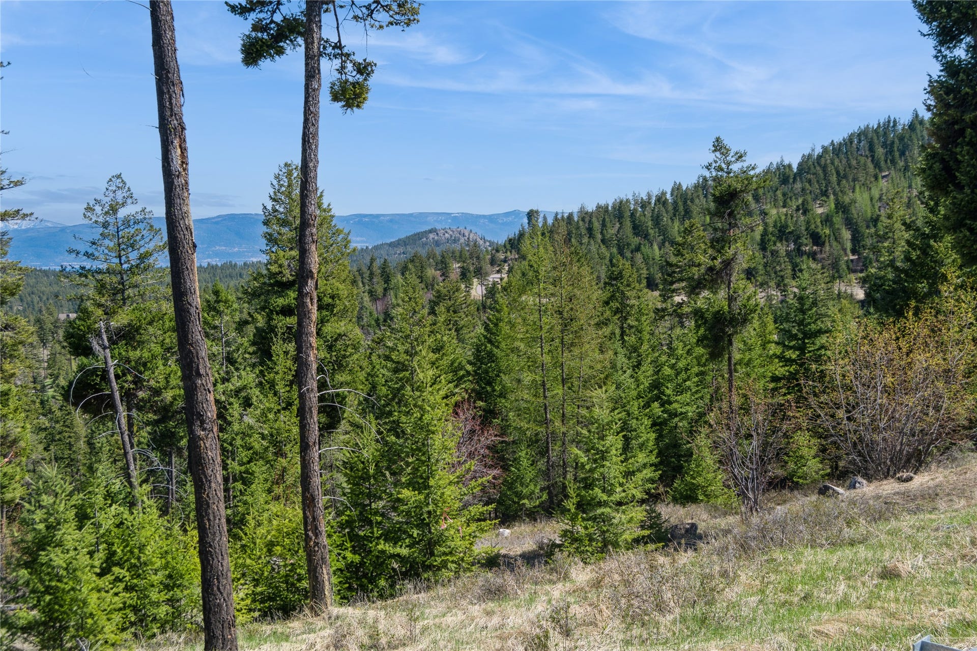1027 Trappers Creek, Lakeside, MT 59922 1027 Trappers Creek, Lakeside, MT 59922