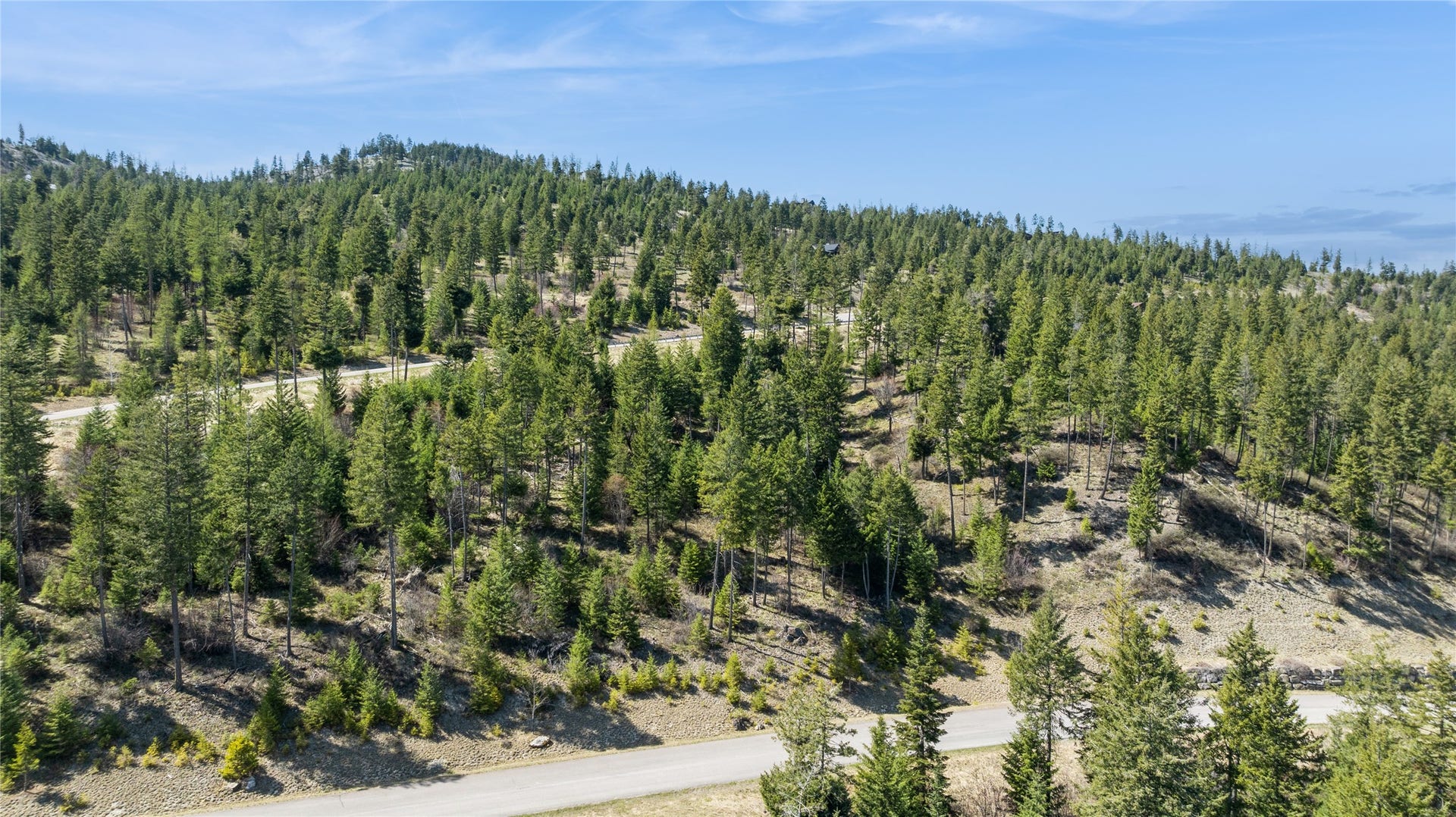 1027 Trappers Creek, Lakeside, MT 59922 1027 Trappers Creek, Lakeside, MT 59922